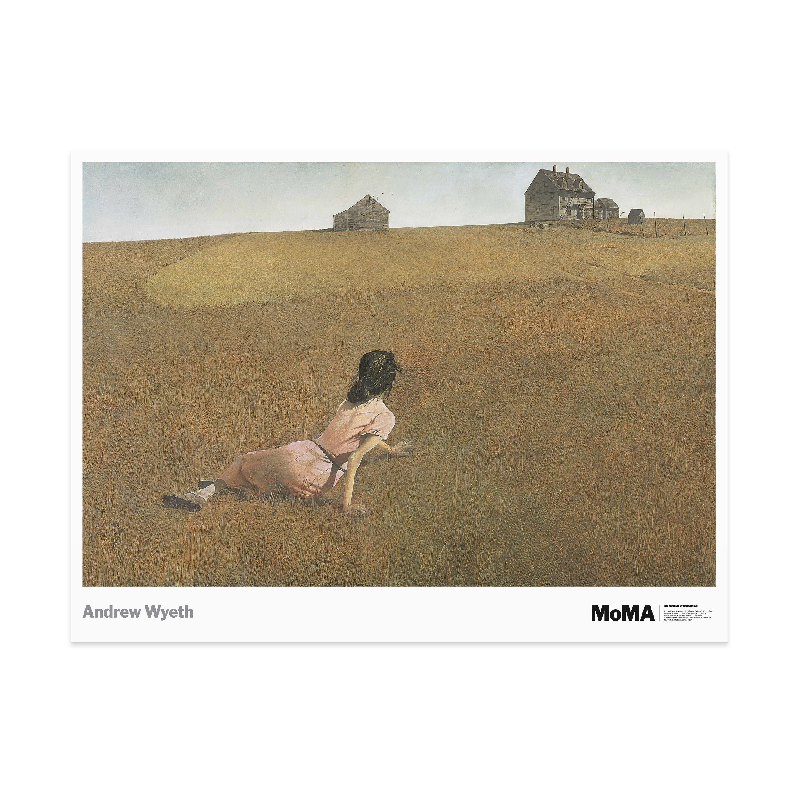 Andrew Wyeth "Christina's World" Art Poster Print