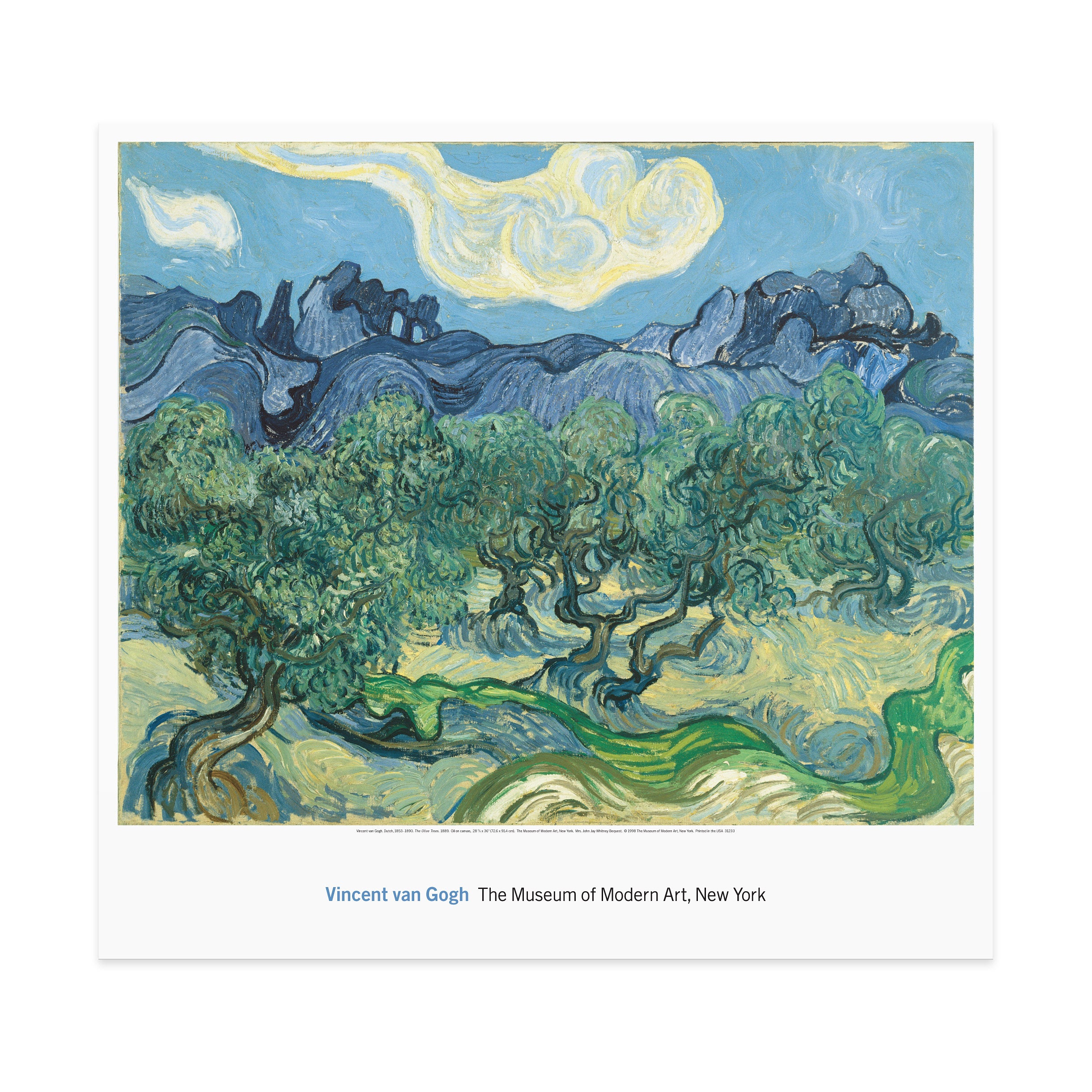 Van Gogh The Olive Trees Art Print Poster