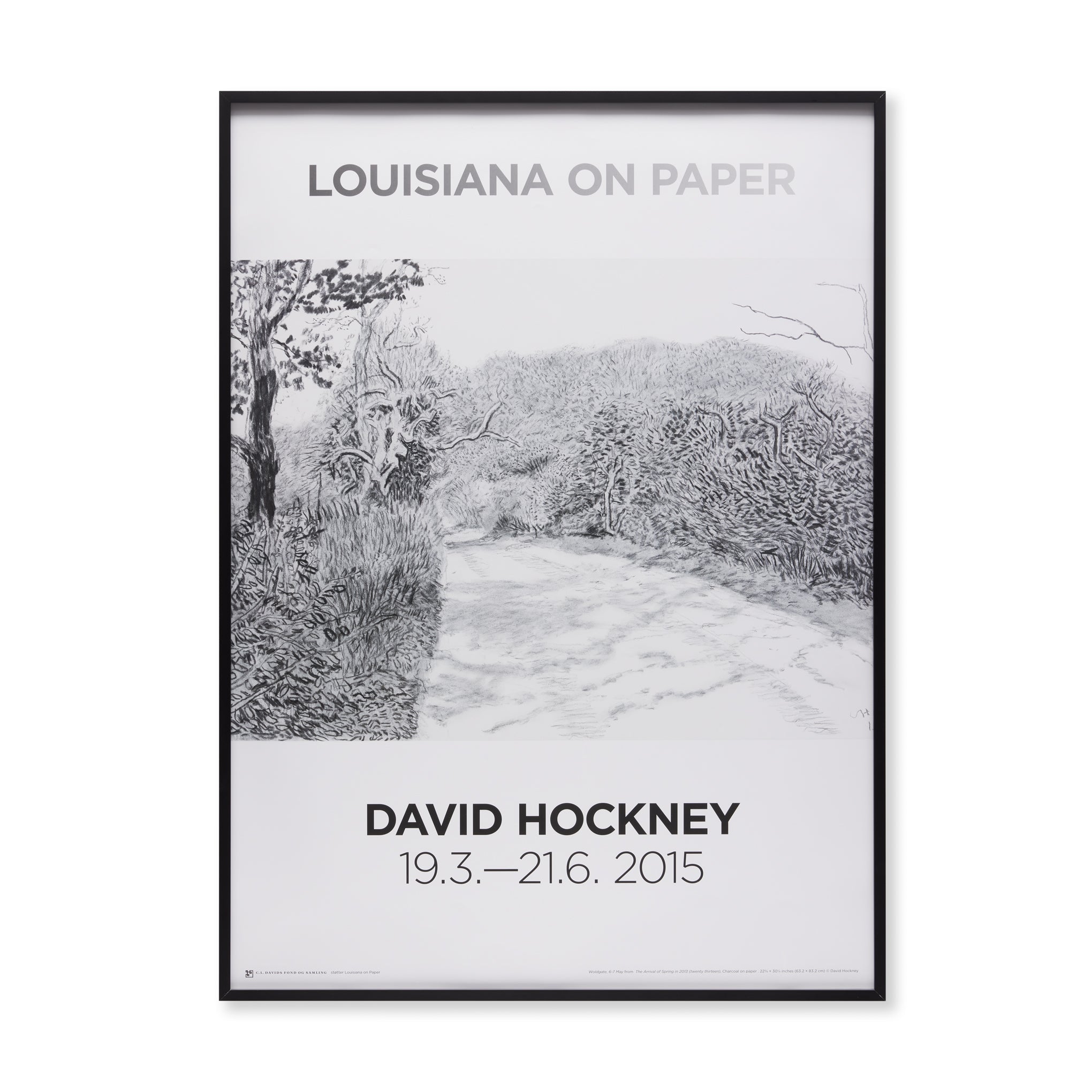 David Hockney Framed Exhibition Poster - Woldgate Art Print