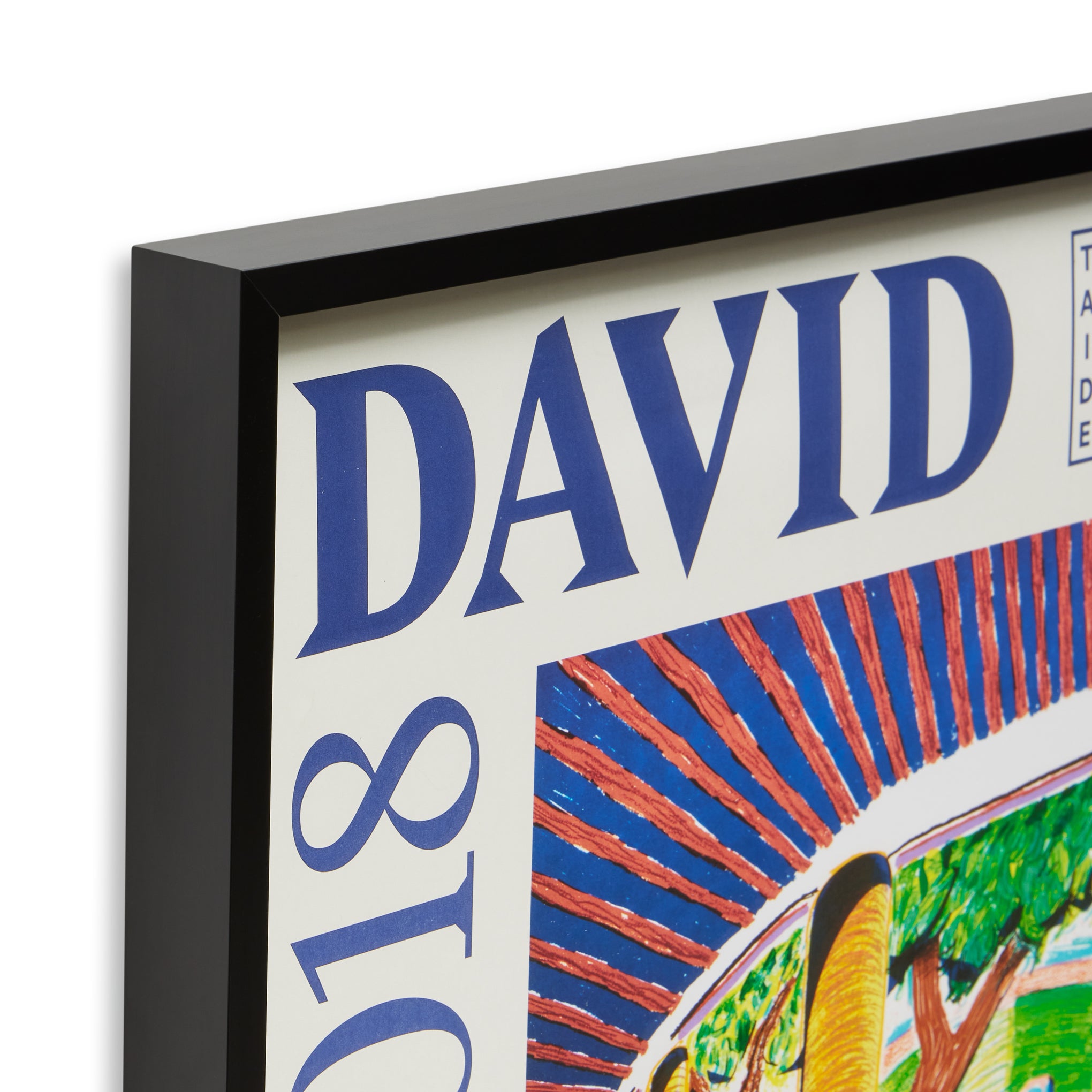 David Hockney Exhibition Poster 2018 – Framed Art Print