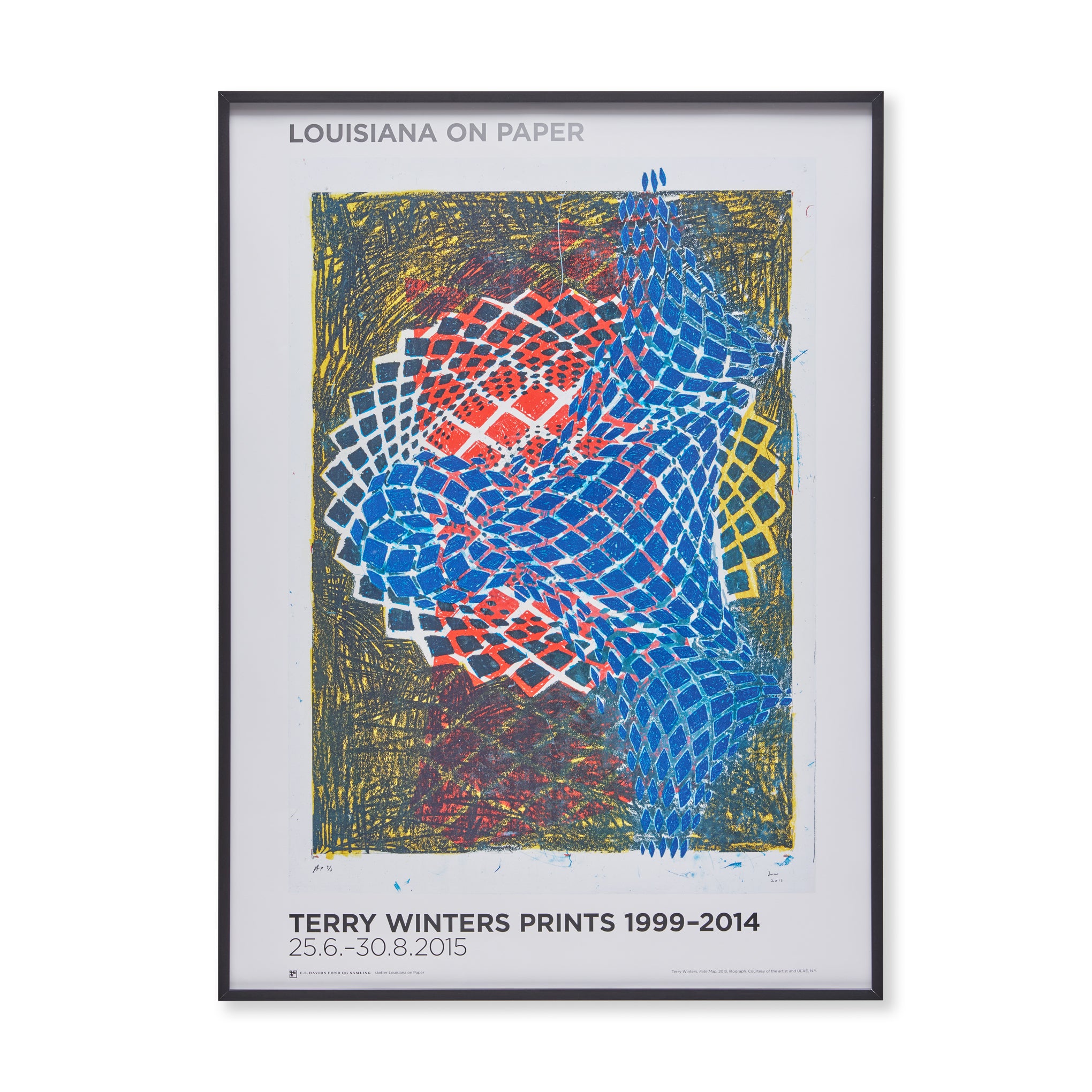 Terry Winters Fate Map Vintage Framed Art Poster 34x25"