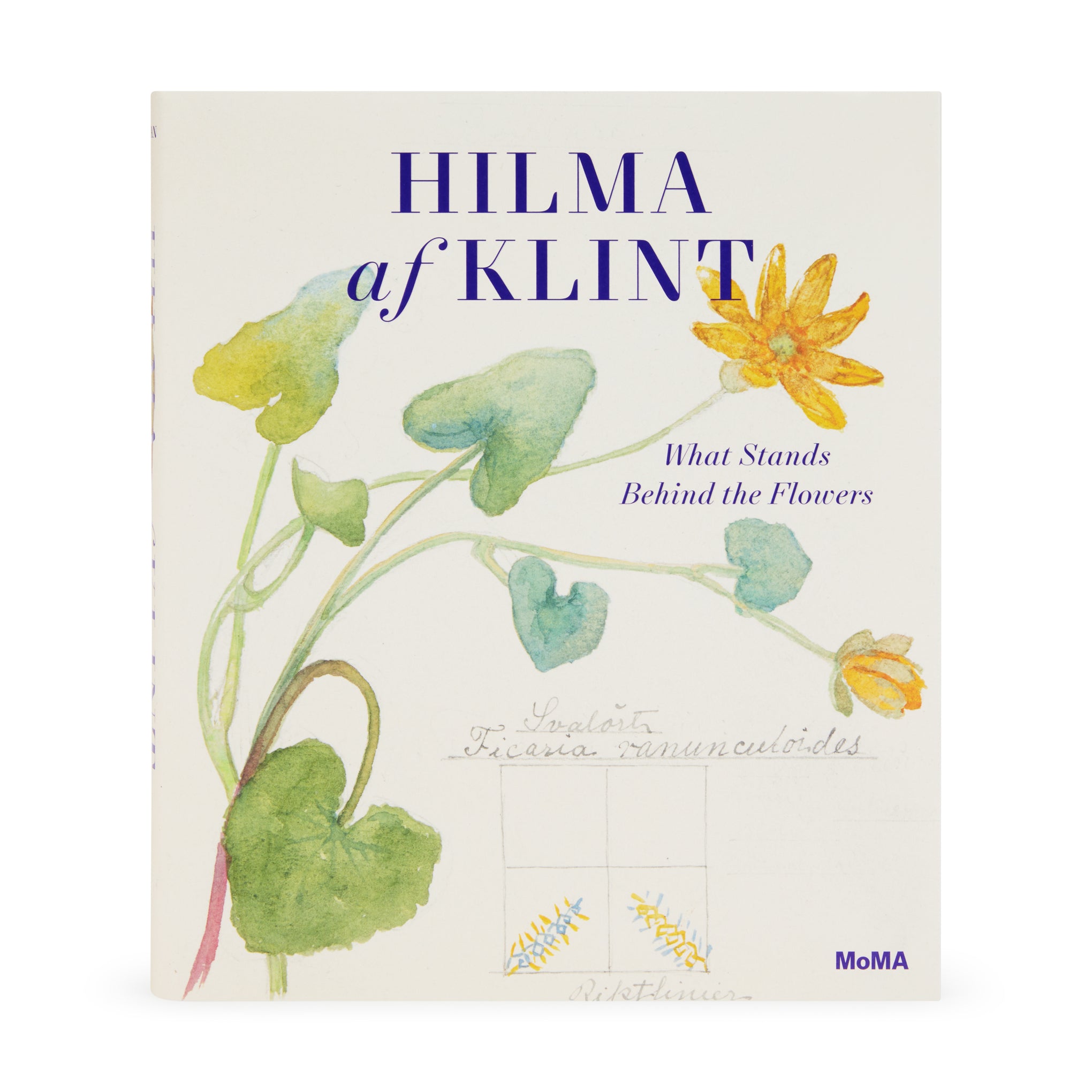 Hilma af Klint: What Stands Behind the Flowers Hardcover Art Book