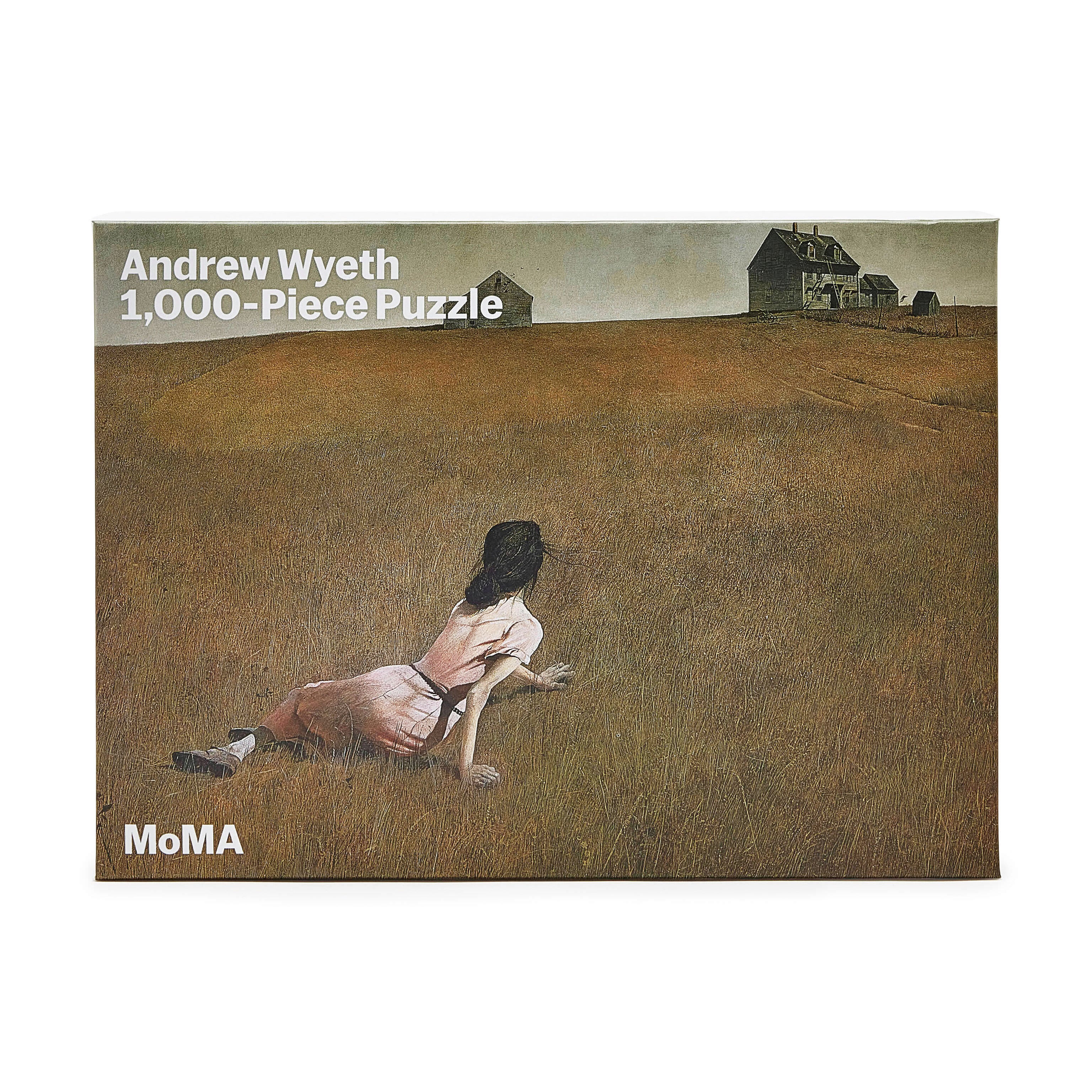 Andrew Wyeth Christina's World 1000 Piece Jigsaw Puzzle