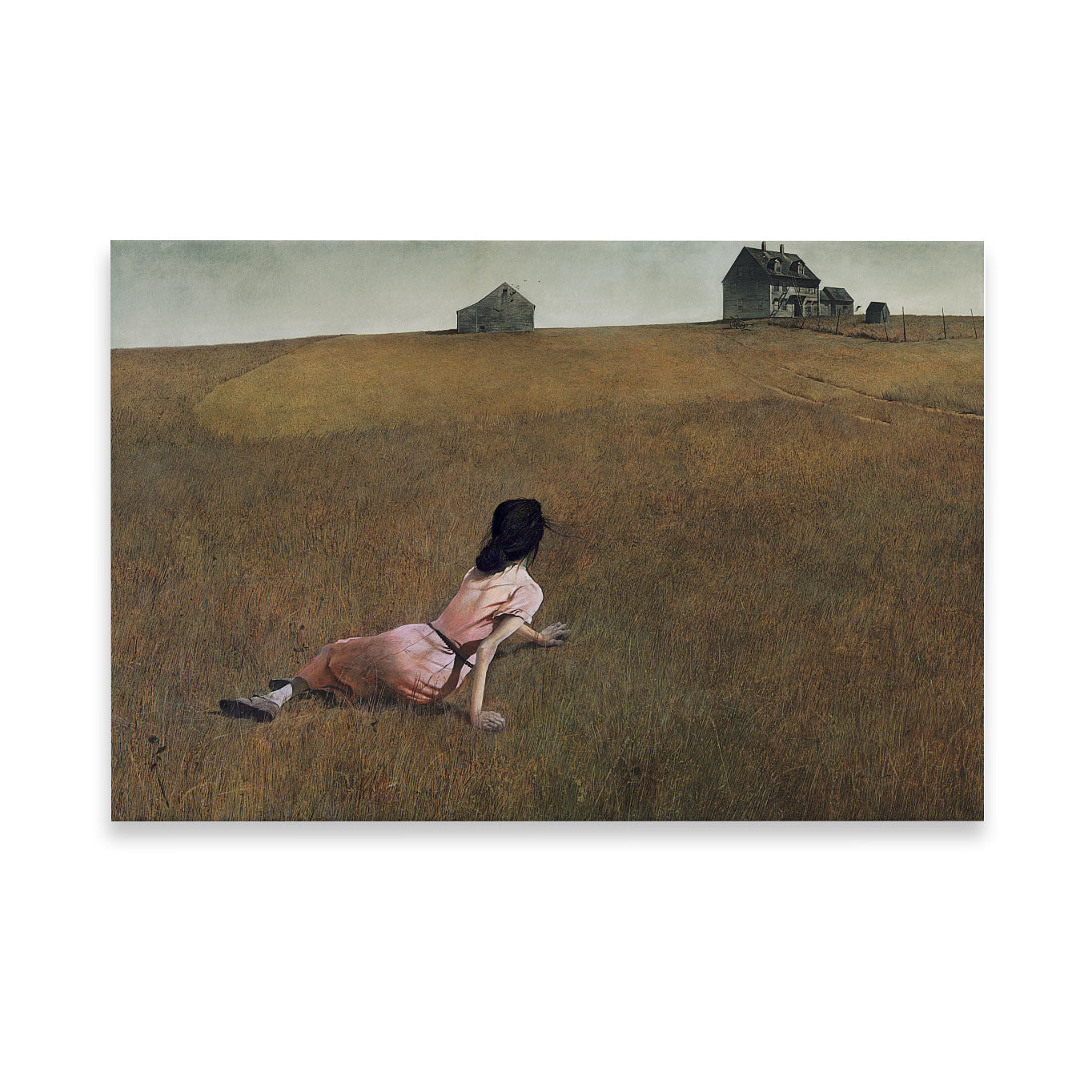 Andrew Wyeth Christina's World 1000 Piece Jigsaw Puzzle