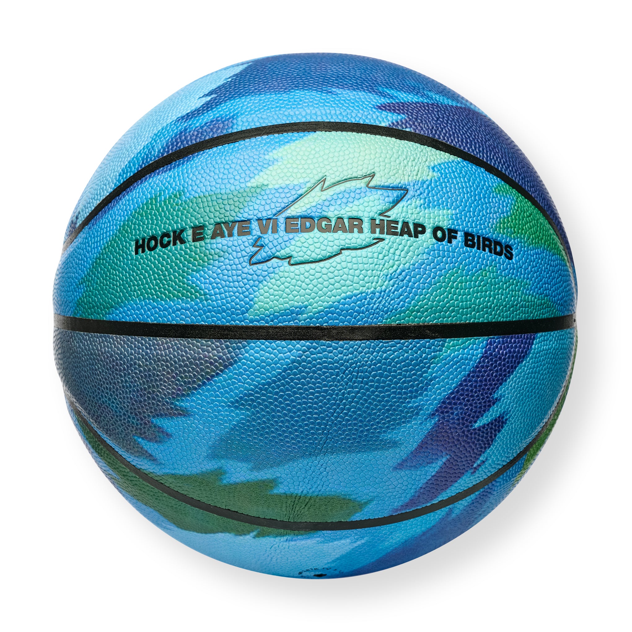 Edgar Heap of Birds Art Basketball for Collectors - Size 7