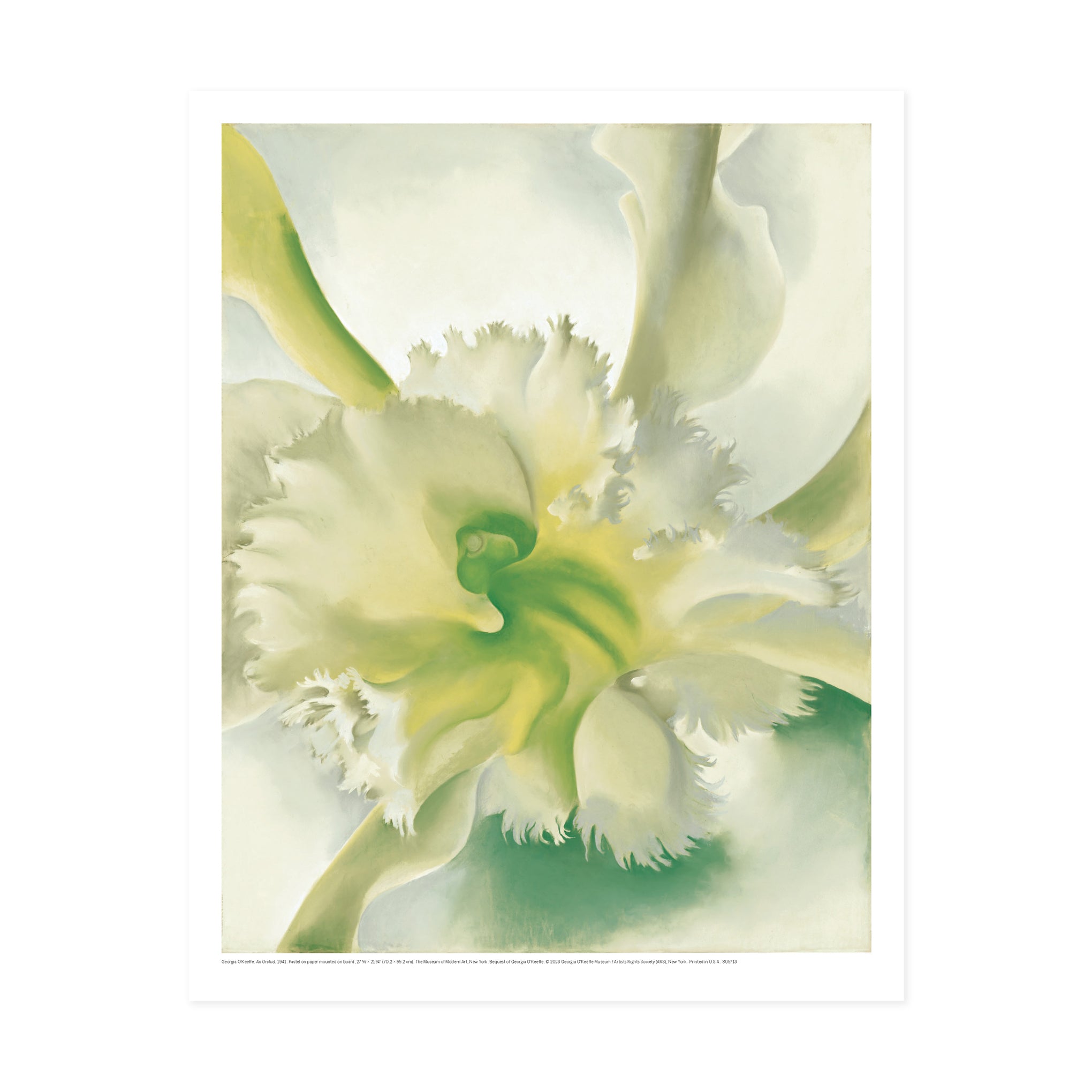 Georgia O'Keeffe Orchid Art Print - MoMA Collection Reproduction