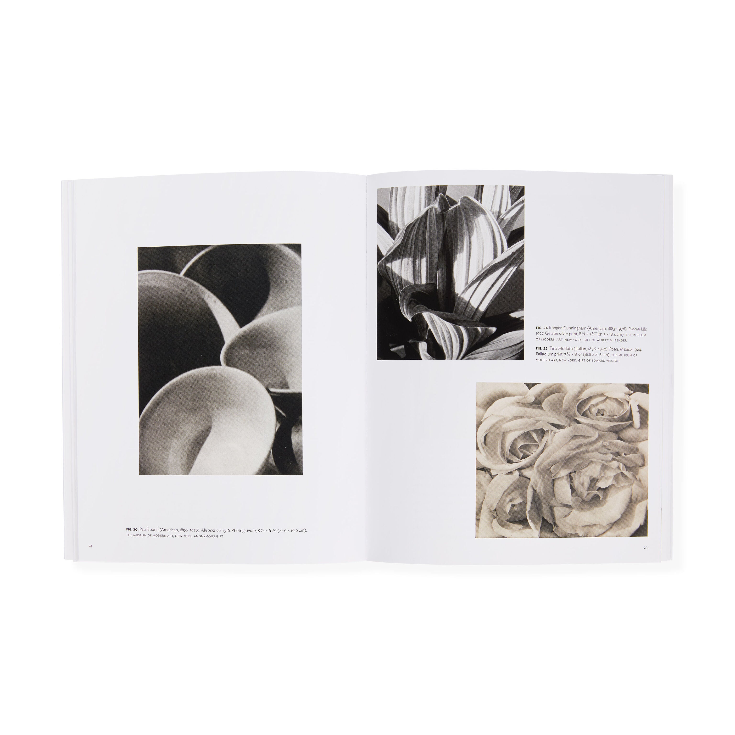Georgia O’Keeffe: Abstraction Blue Art Book - MoMA Series Paperback