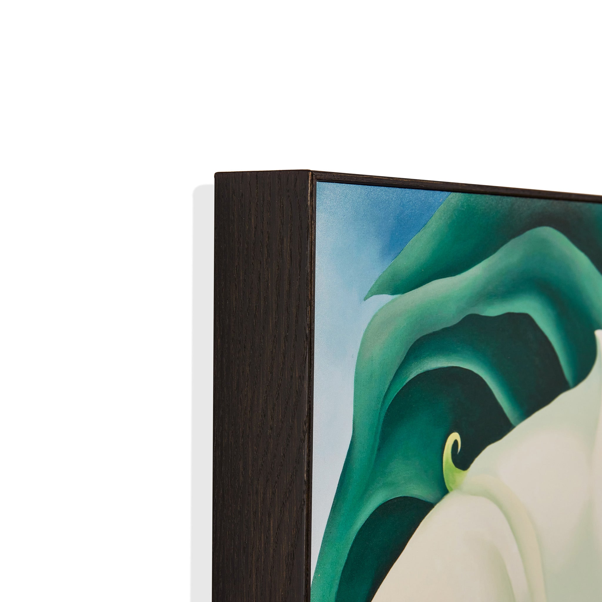 Georgia O'Keeffe Jimson Weed Framed Art Print - White Flower No. 1