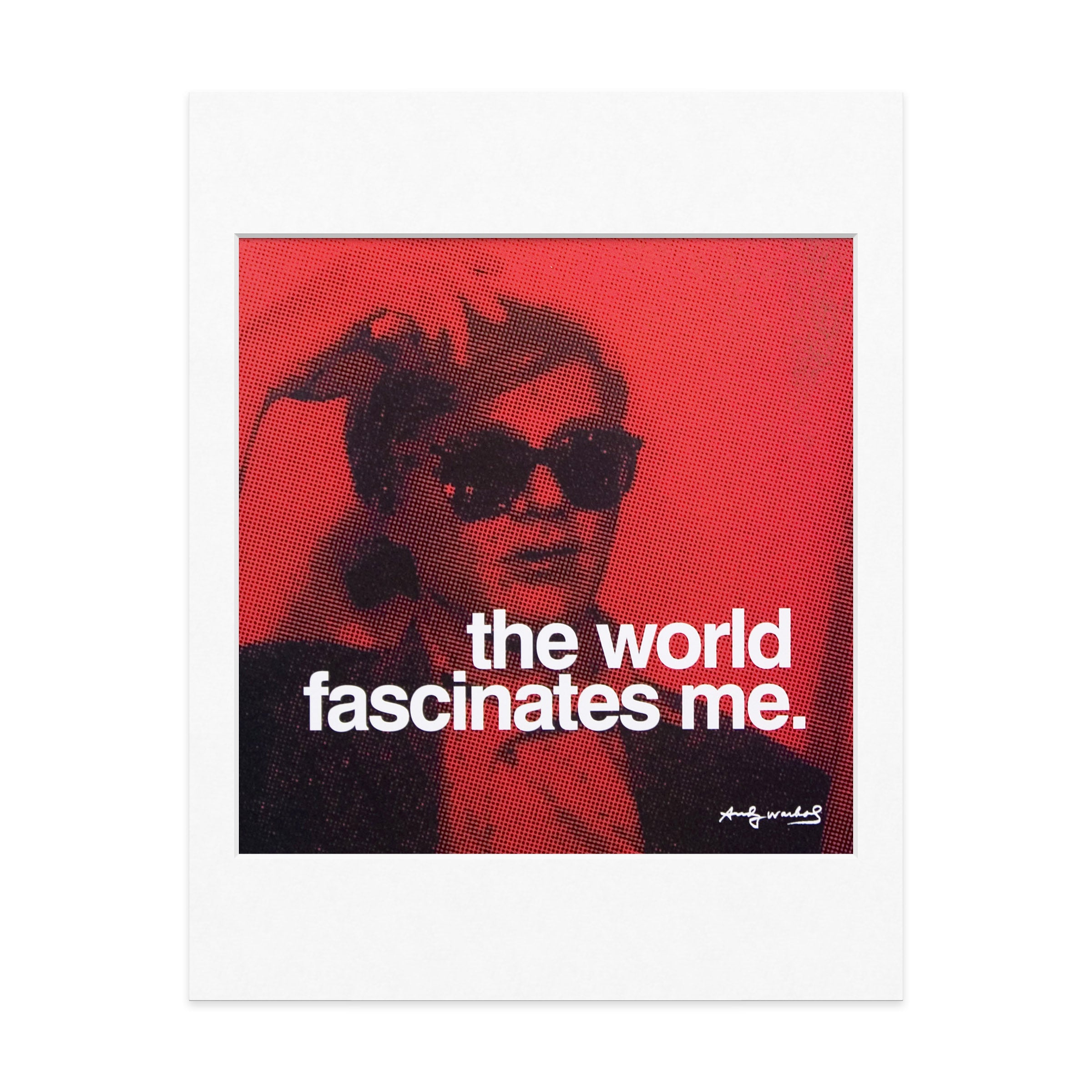 Andy Warhol Quote Print - The World Fascinates Me Artwork