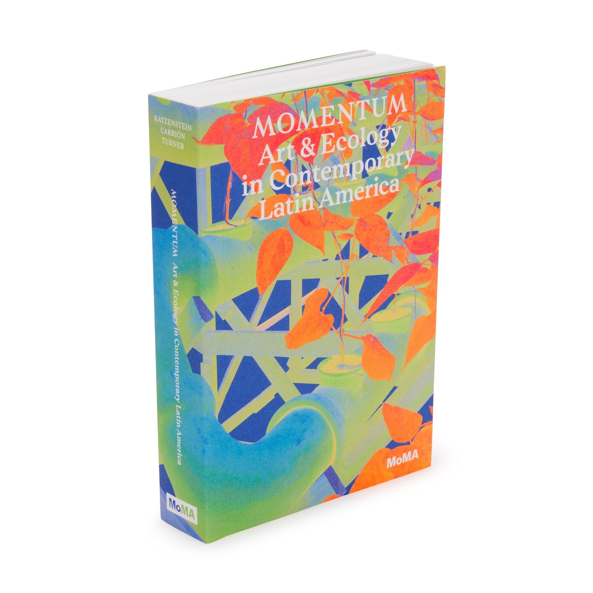 Latin American Art & Ecology Book – Momentum Paperback