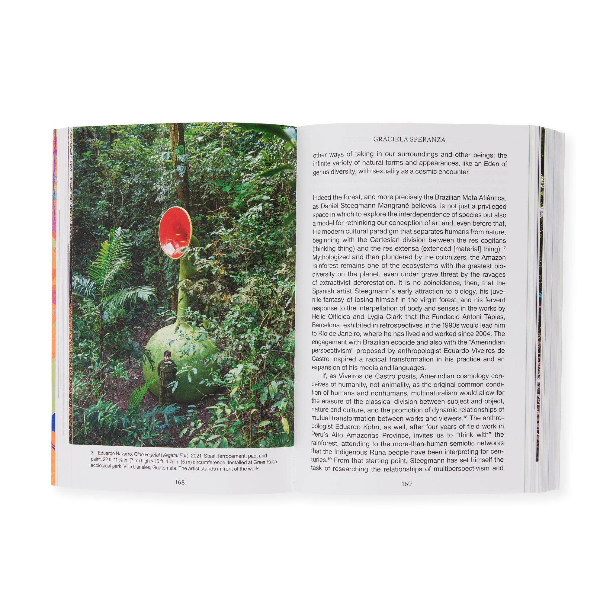 Latin American Art & Ecology Book – Momentum Paperback