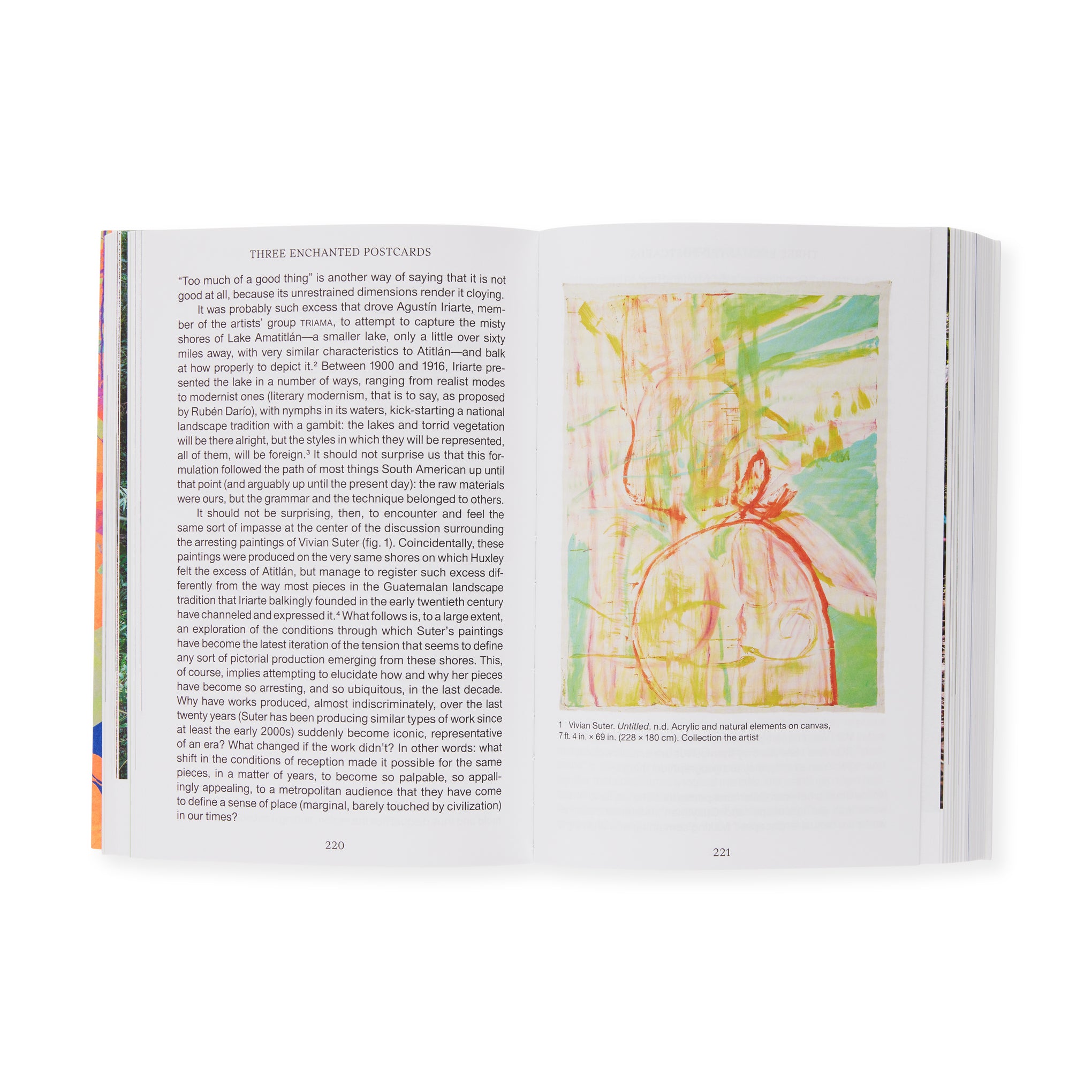 Latin American Art & Ecology Book – Momentum Paperback