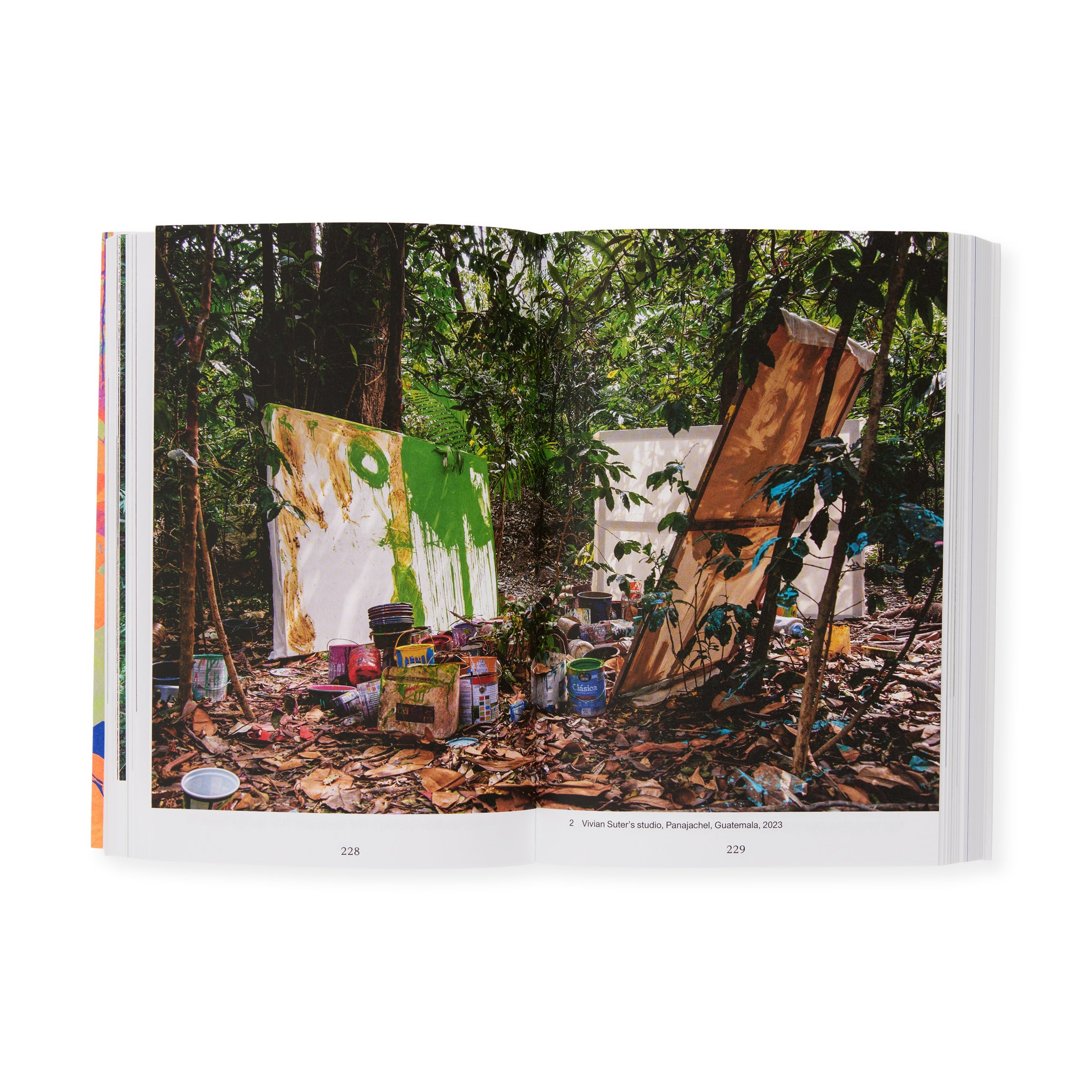 Latin American Art & Ecology Book – Momentum Paperback