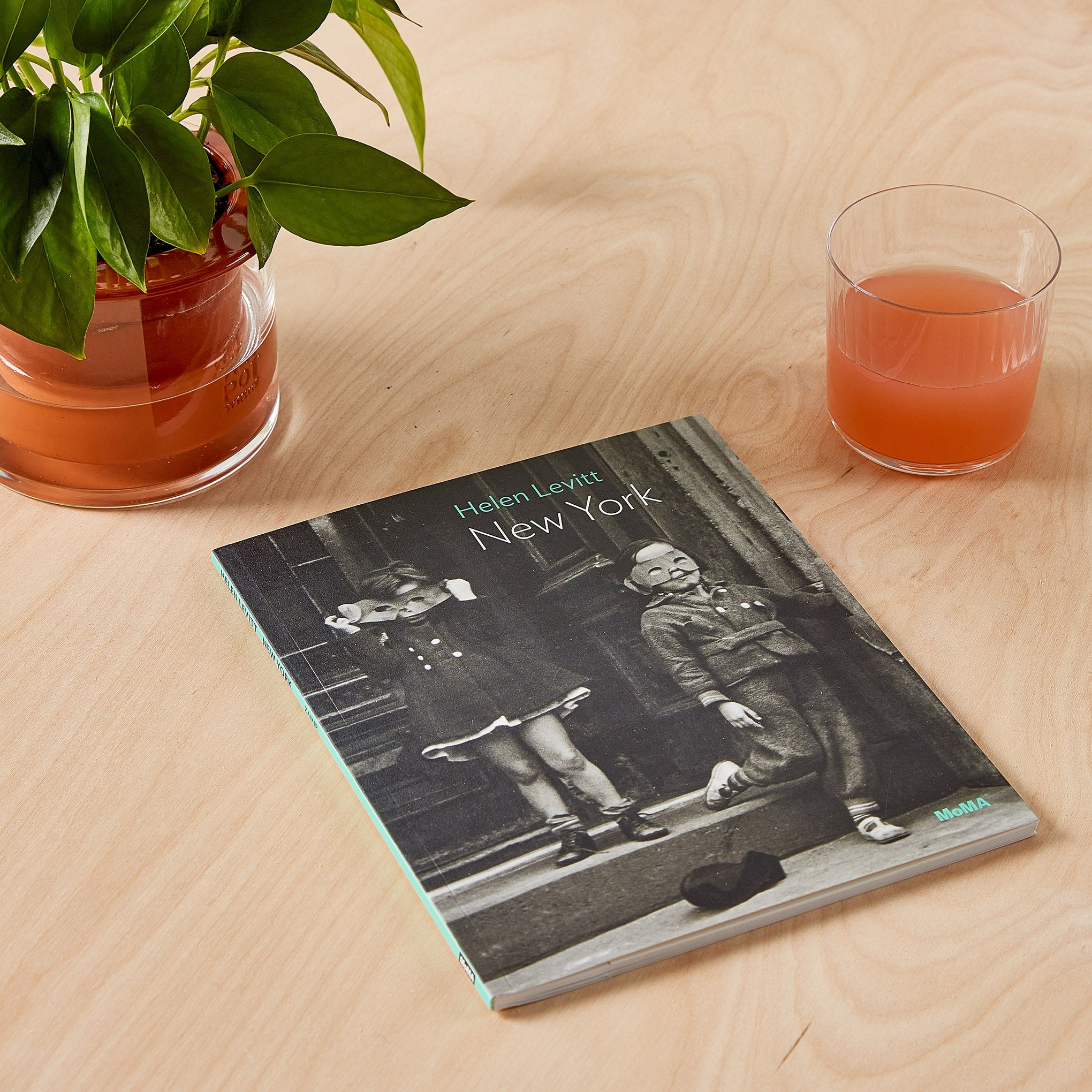 Helen Levitt: New York Photography Book - One on One Series