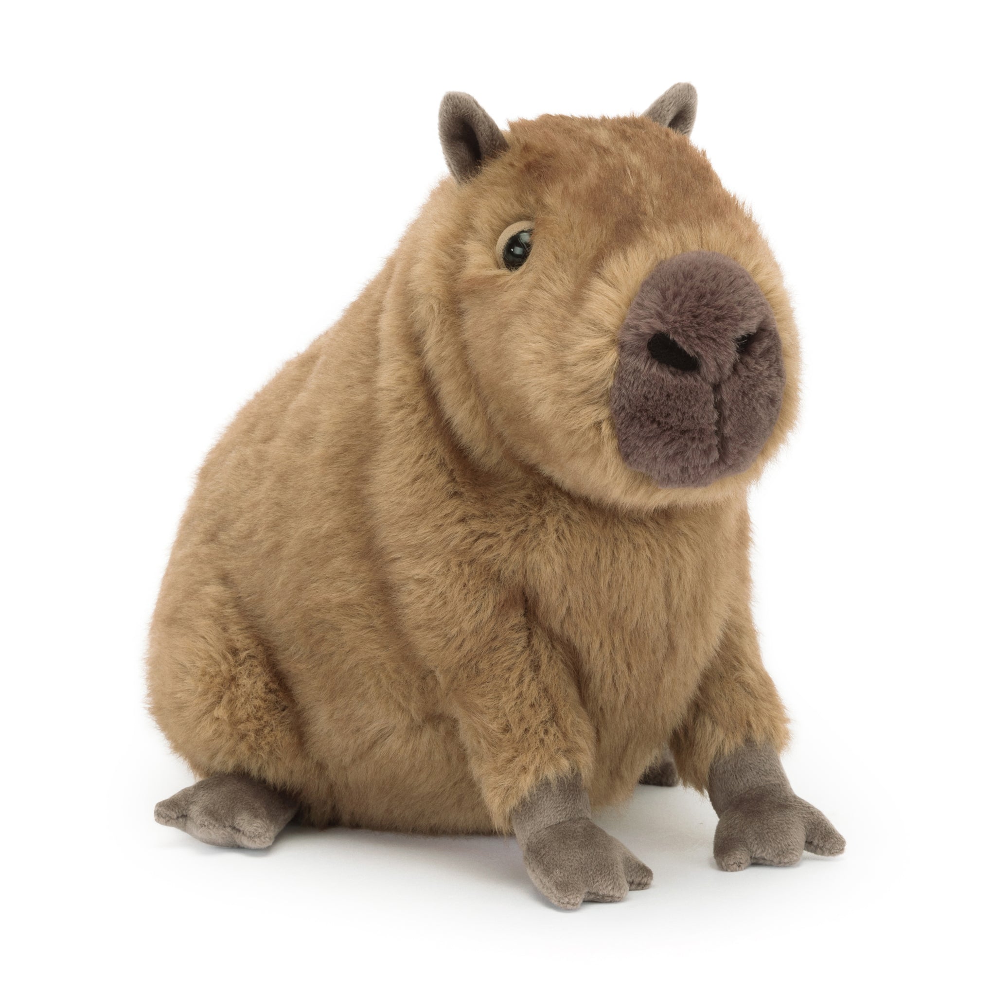 Jellycat Clyde Capybara Plush Toy for Kids & Nursery Decor