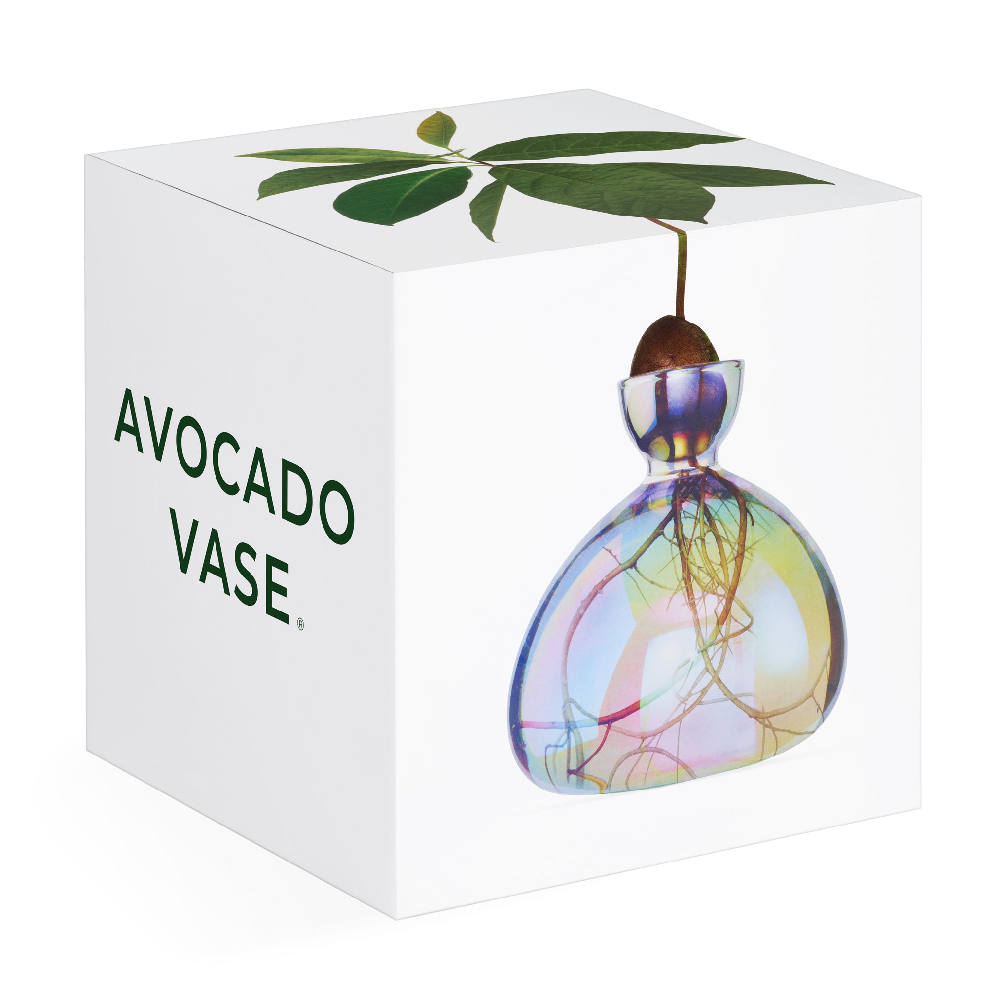Iridescent Avocado Vase by ILEX Studio - MoMA Exclusive