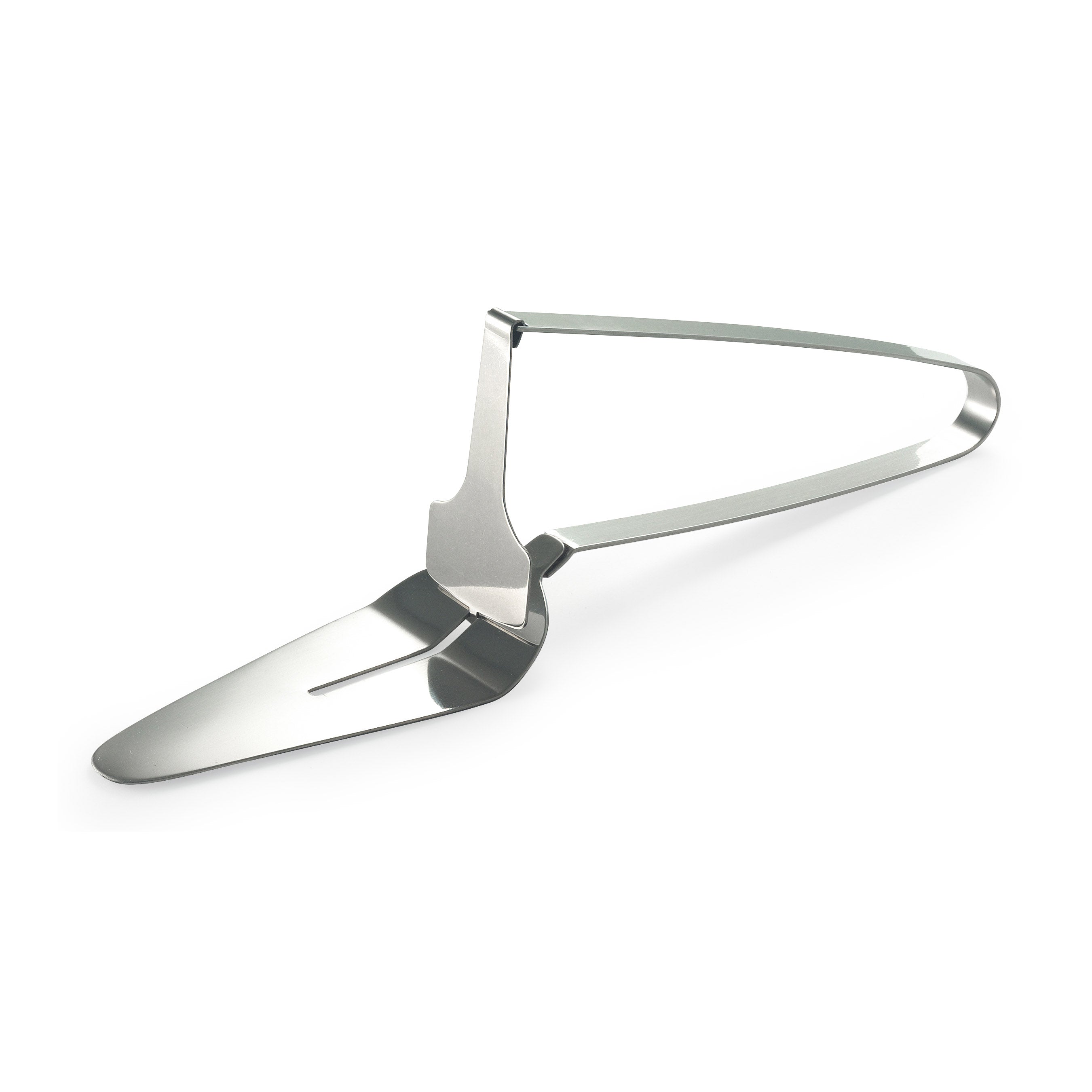 Italian Stainless Steel One-Handed Cake Server with Serrated Edge