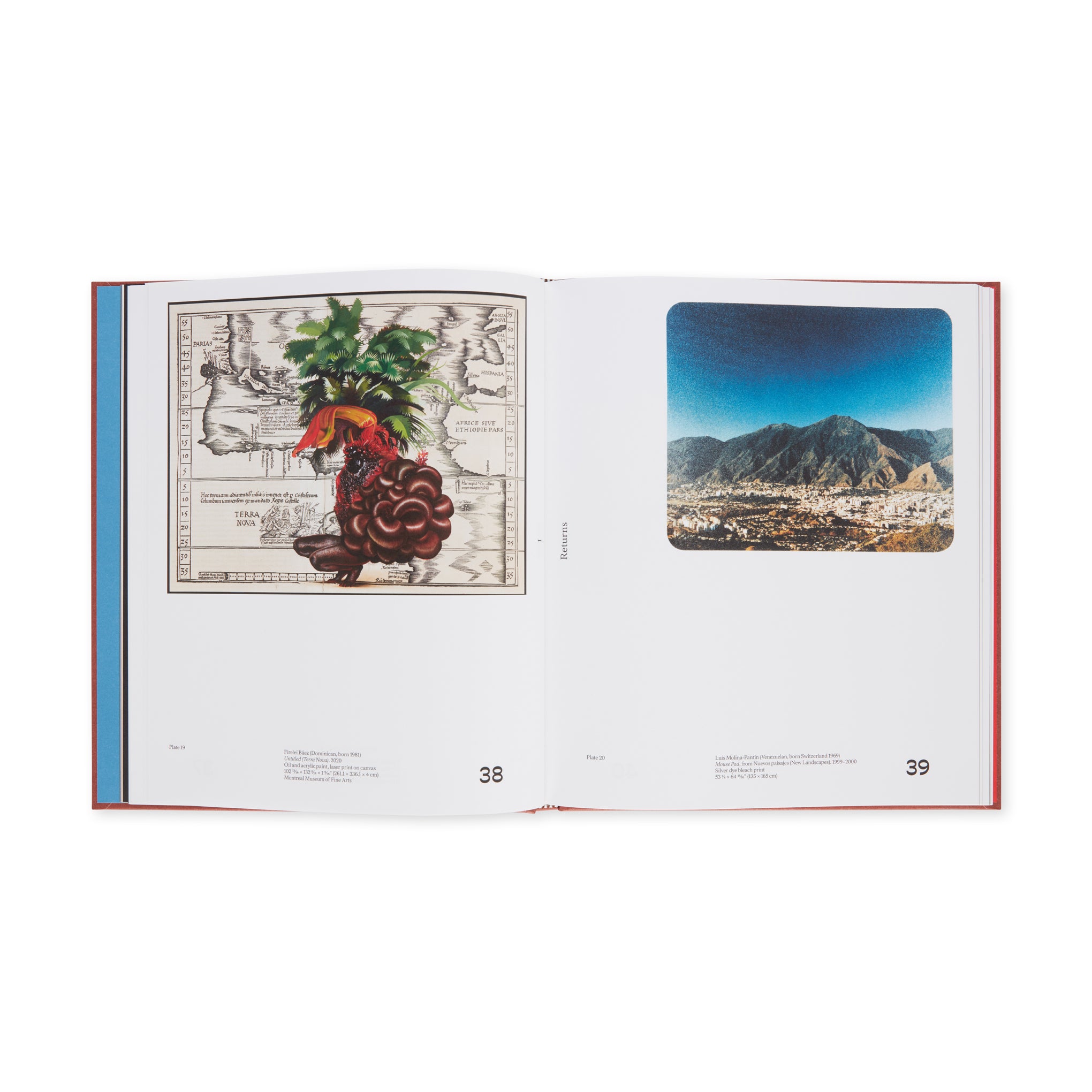 Chosen Memories: Latin American Art Hardcover Book