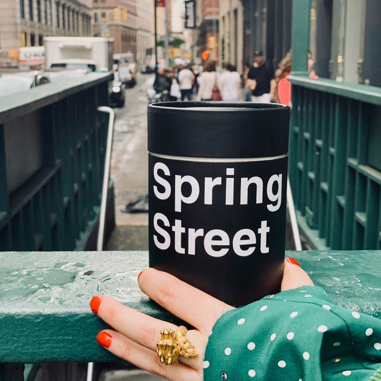 Urban Lights NYC Subway Scented Soy Candle – Spring Street Peppermint & Fig