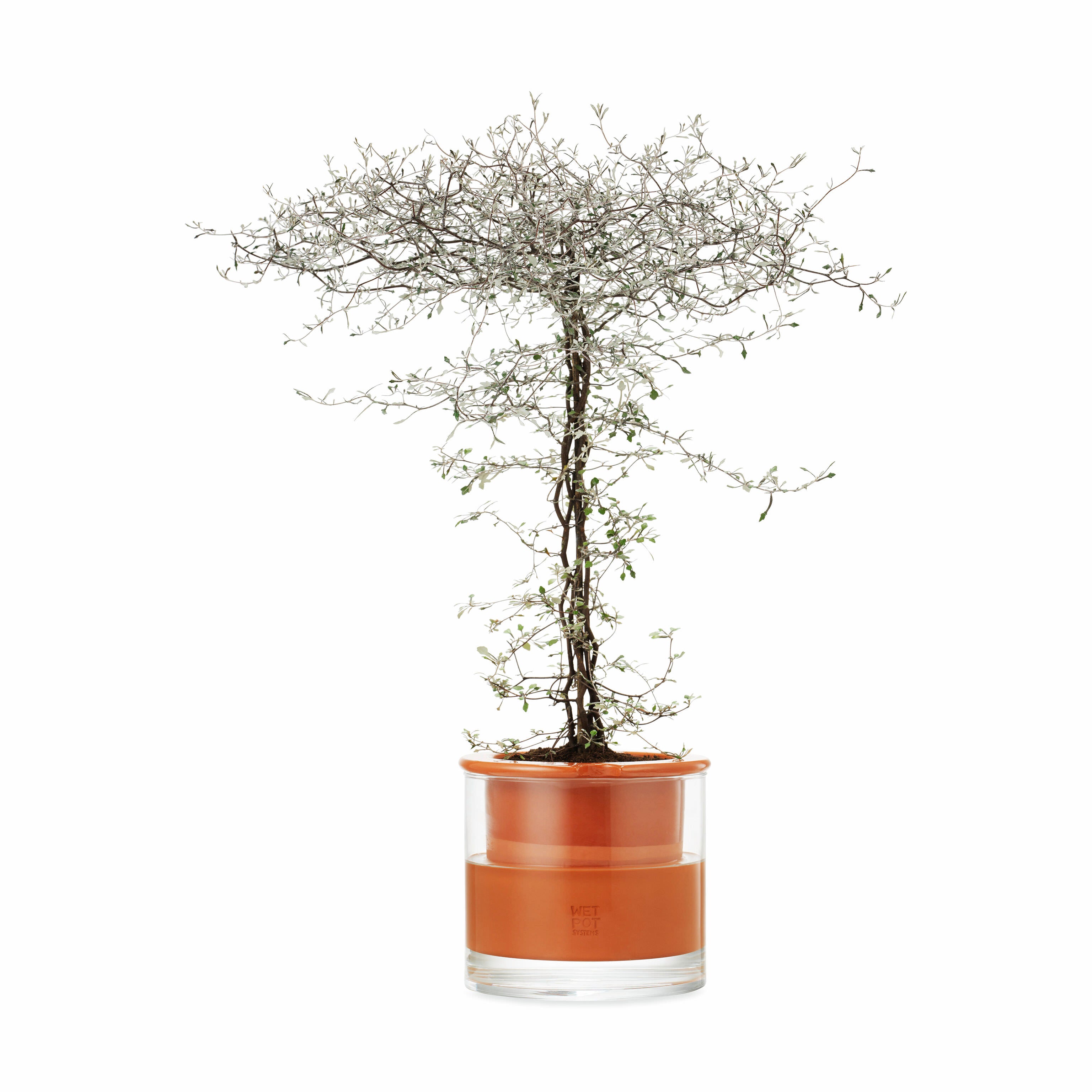 Self-Watering Terracotta Plant Pots with Glass Reservoir – Medium