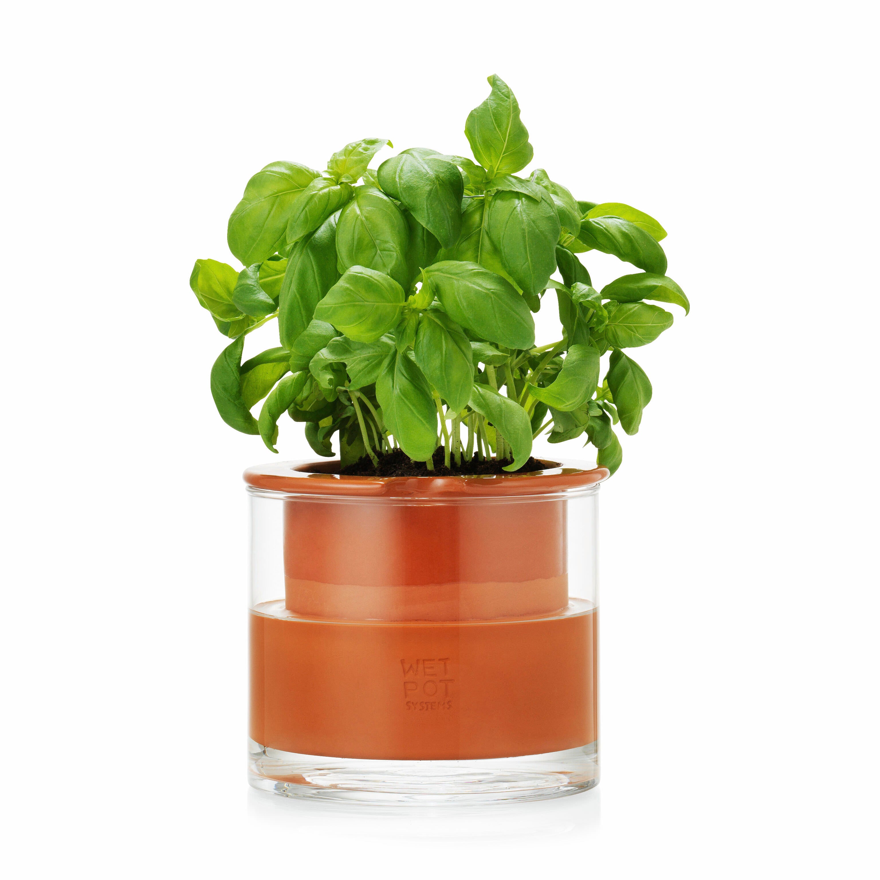 Self-Watering Terracotta Plant Pots with Glass Reservoir – Small