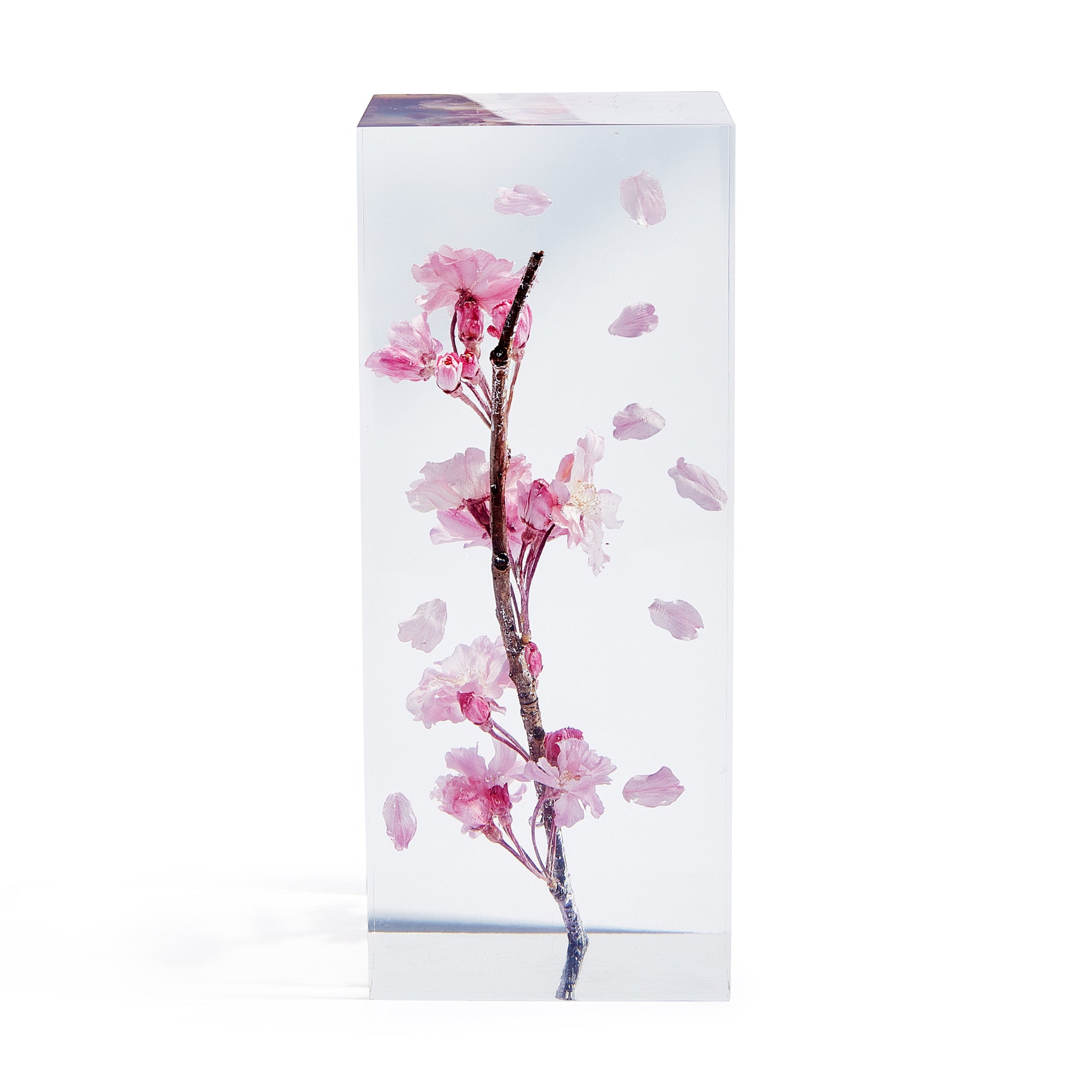 Cherry Blossom Art Resin Sculpture by Takao Inoue – MoMA Exclusive