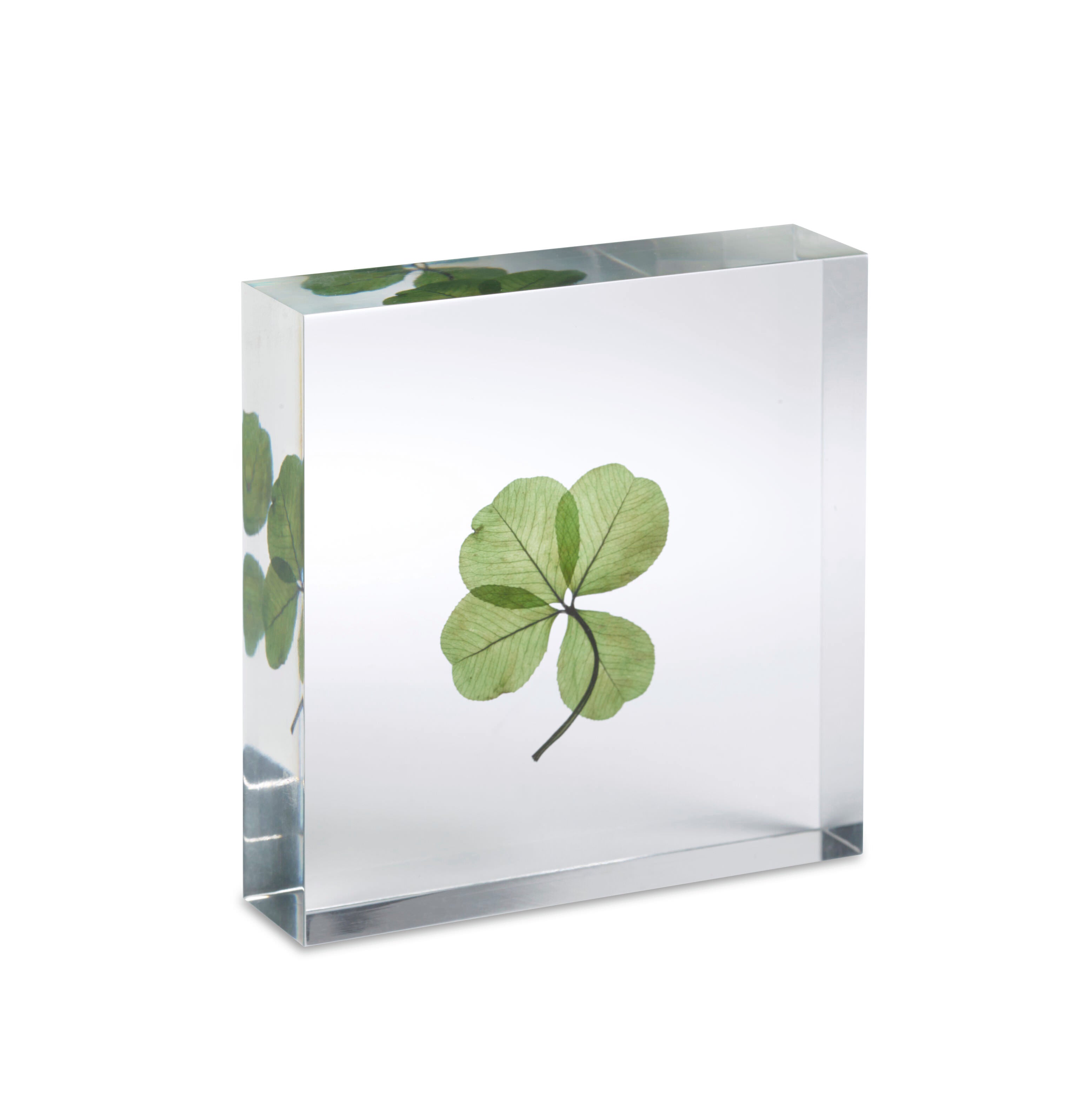 Authentic Four-Leaf Clover Lucky Charm - Handcrafted Acrylic Keepsake