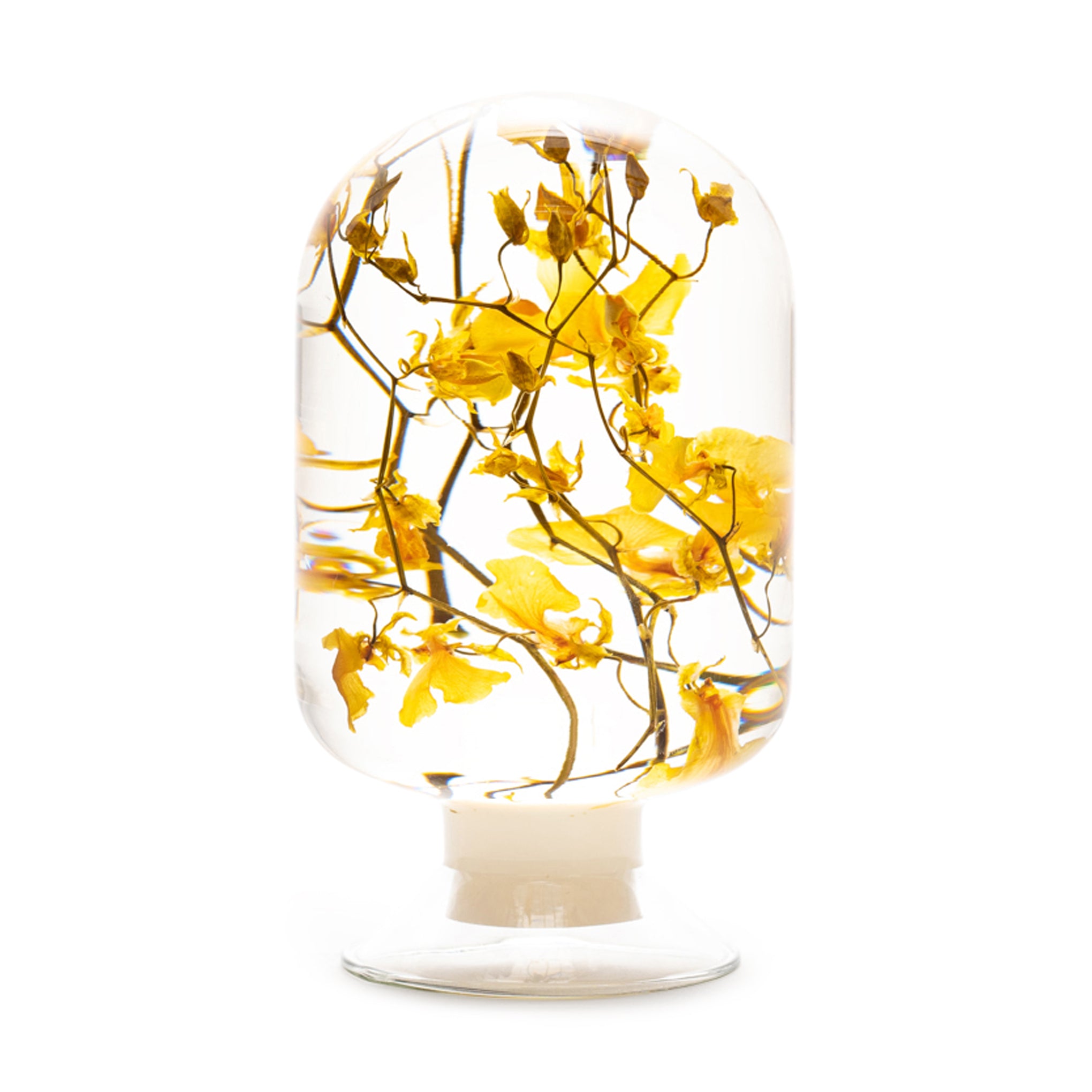 Handcrafted Glass Flower Objet d'Art - Yellow Oncidium by Style Jieum