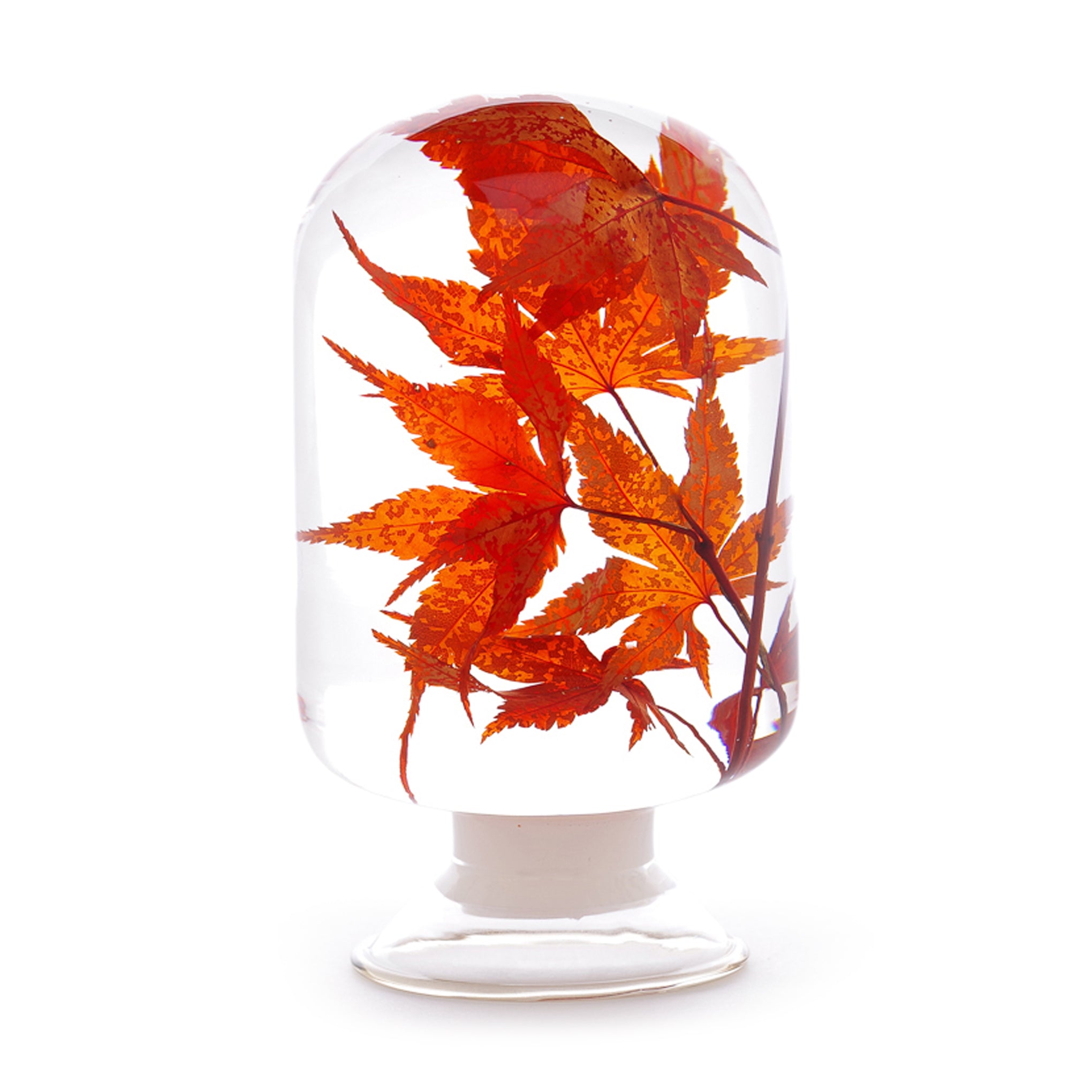 Handcrafted Glass Flower Dome Art - Style Jieum Maple Objet d'Art