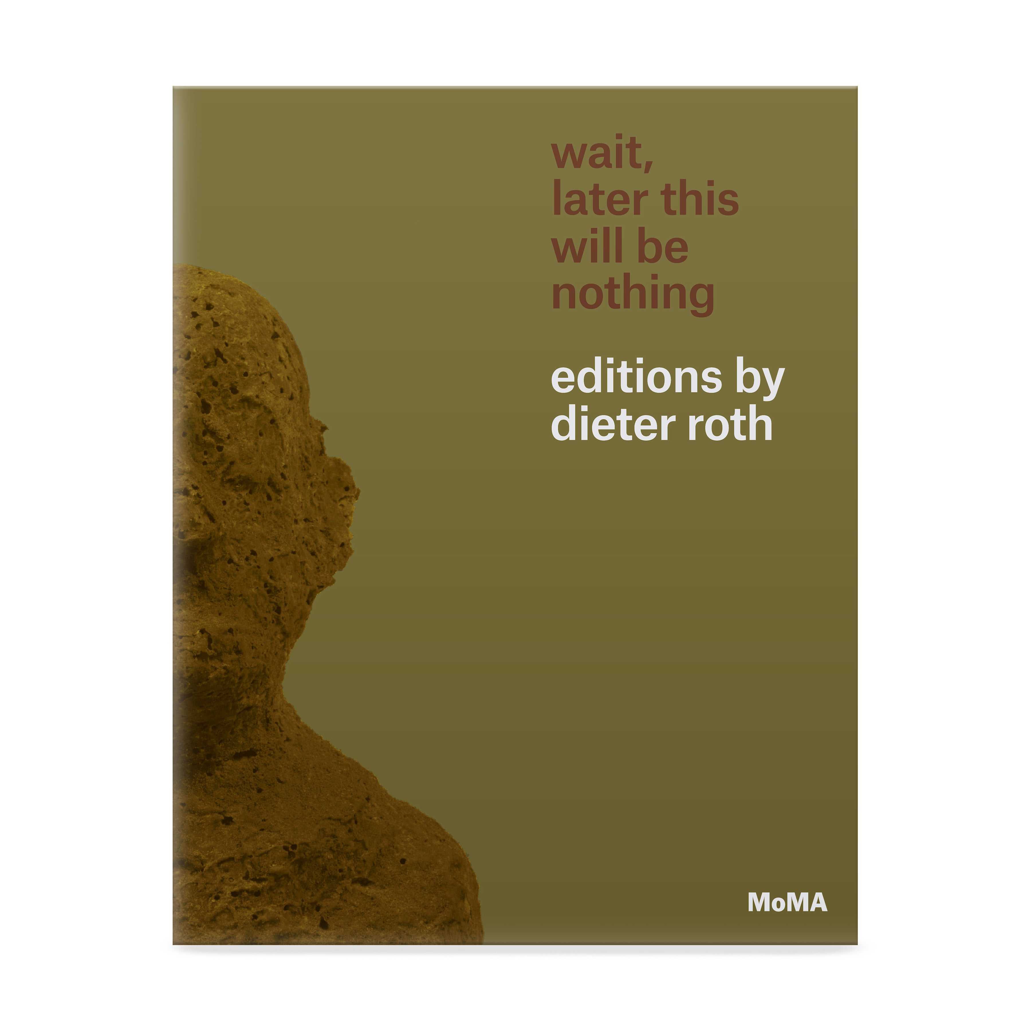 Dieter Roth Art Book: Wait, Later This Will Be Nothing - Paperback