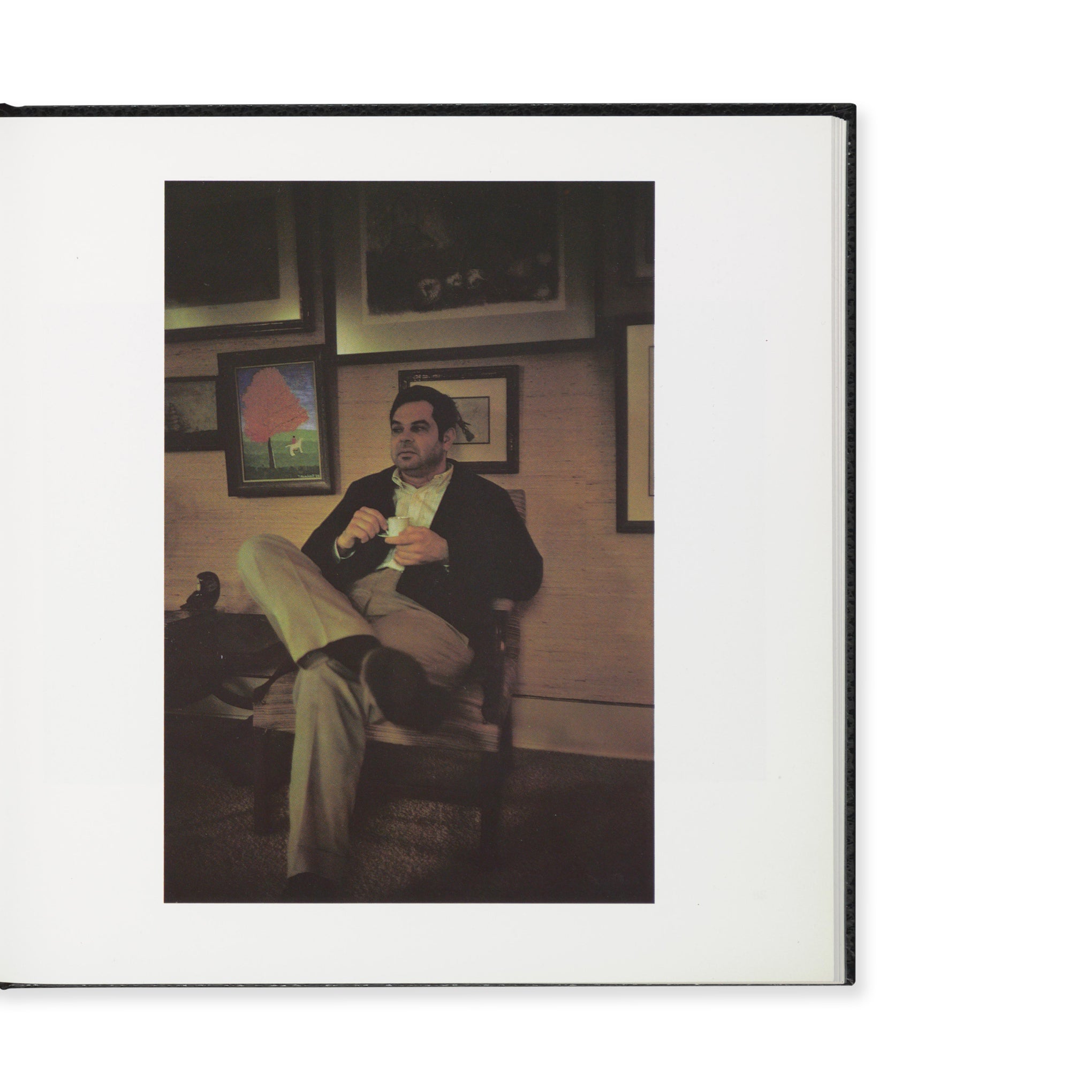 William Eggleston's Guide Hardcover Photography Book - Museum of Modern Art Edition