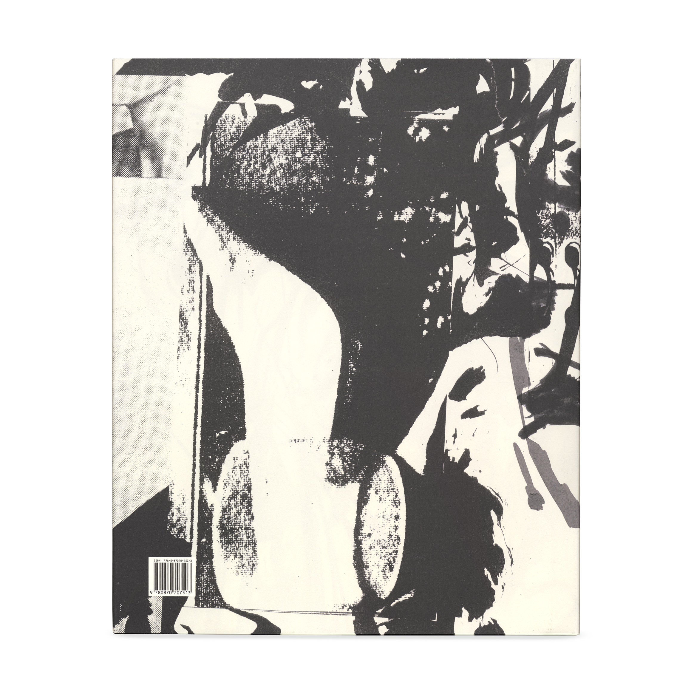 Judith Rothschild Foundation Contemporary Drawings Catalogue Raisonné Hardcover
