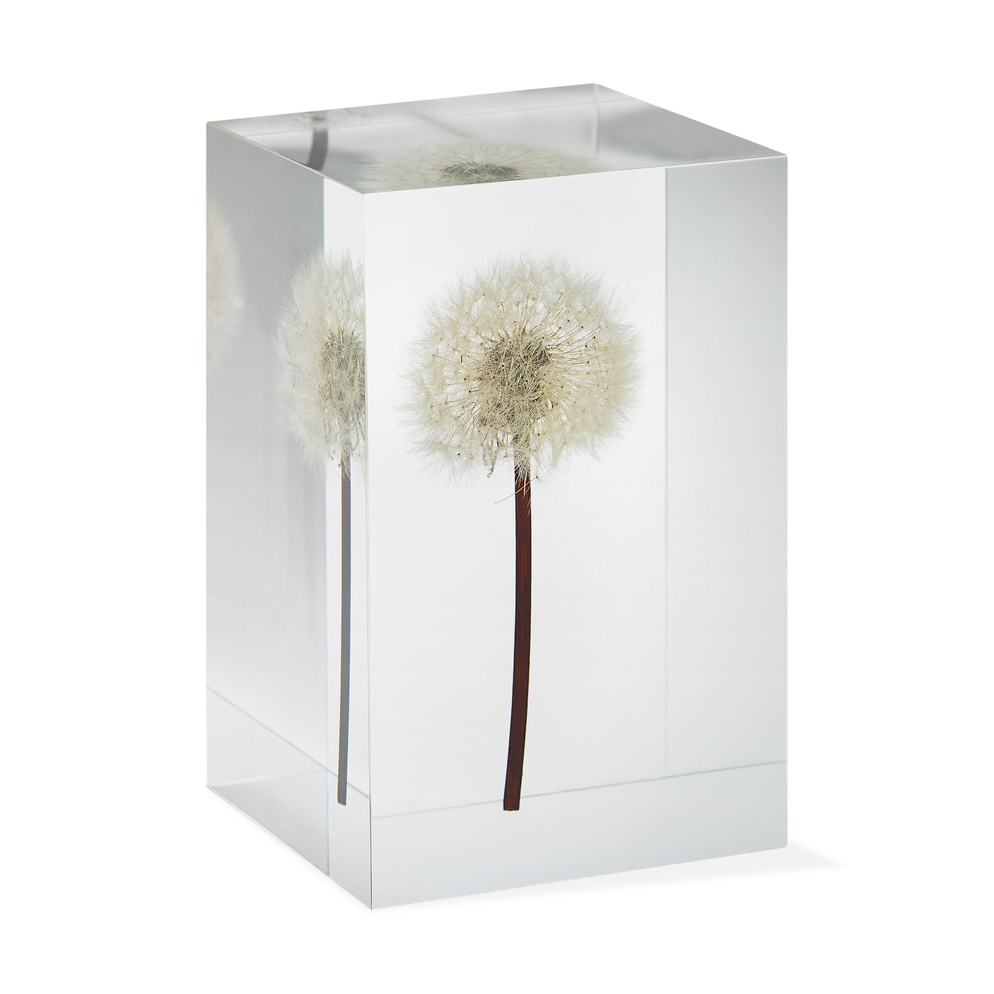 Dandelion Acrylic Desktop Sculpture – MoMA-Inspired Office Art