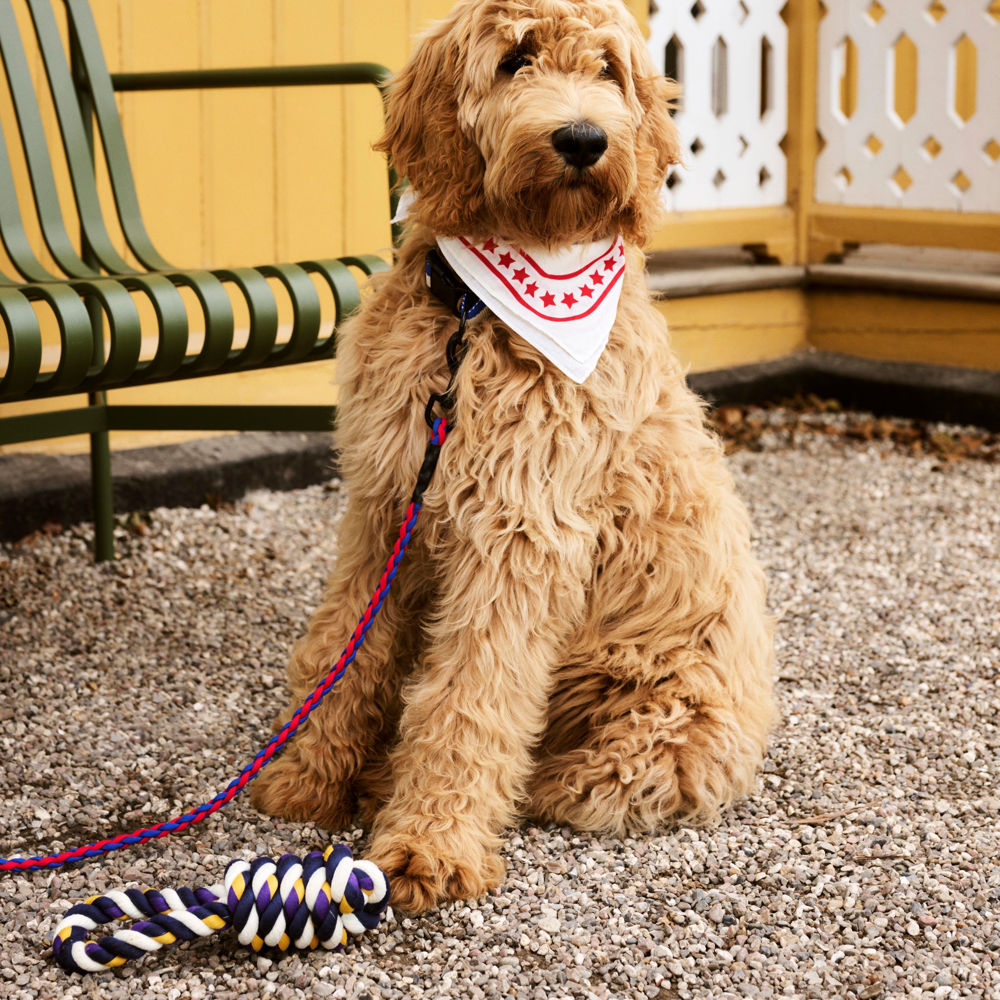 HAY Recycled Polyester Rope Dog Toy - Red & Turquoise Tug Toy