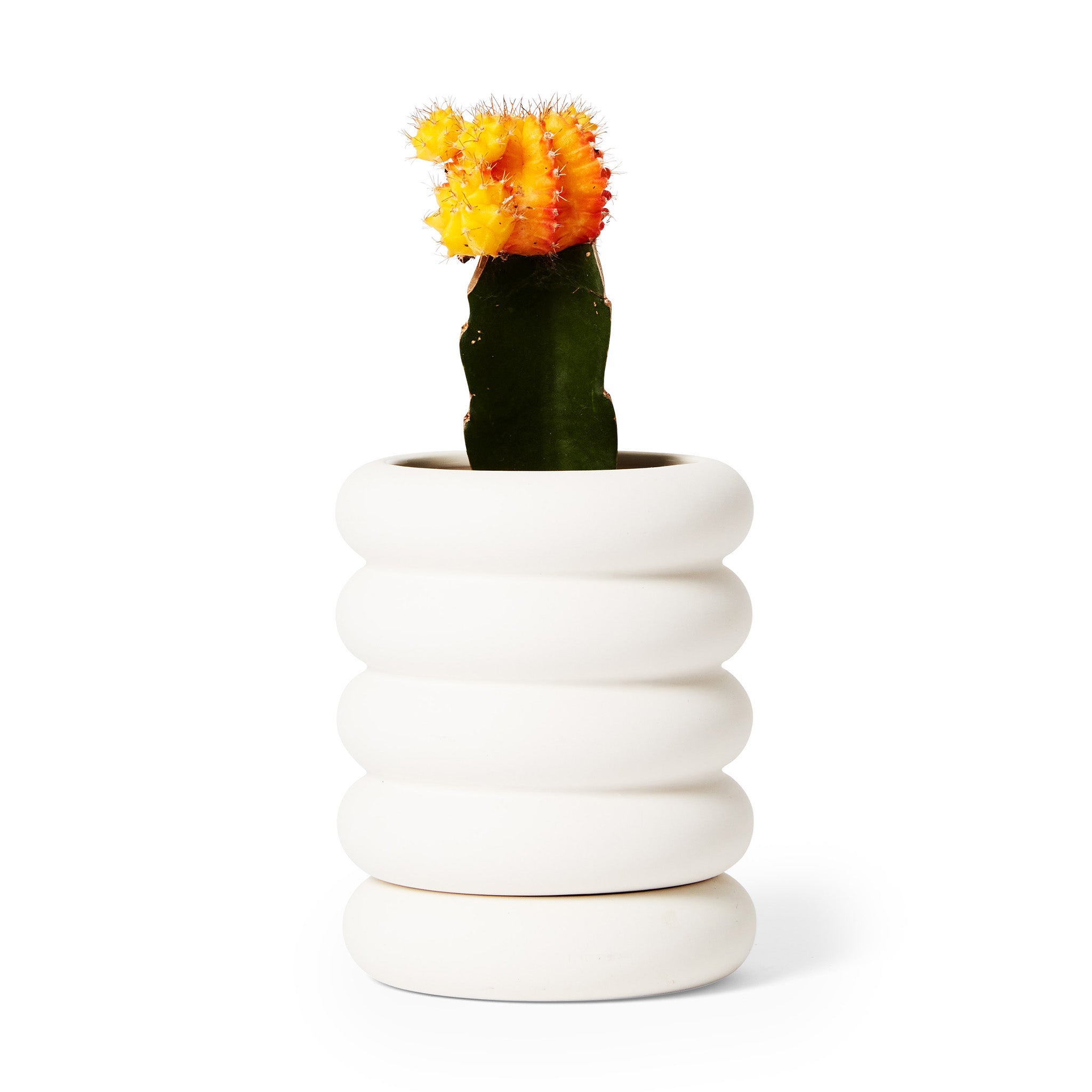 Areaware Mini Stacking Stoneware Planter with Hidden Saucer