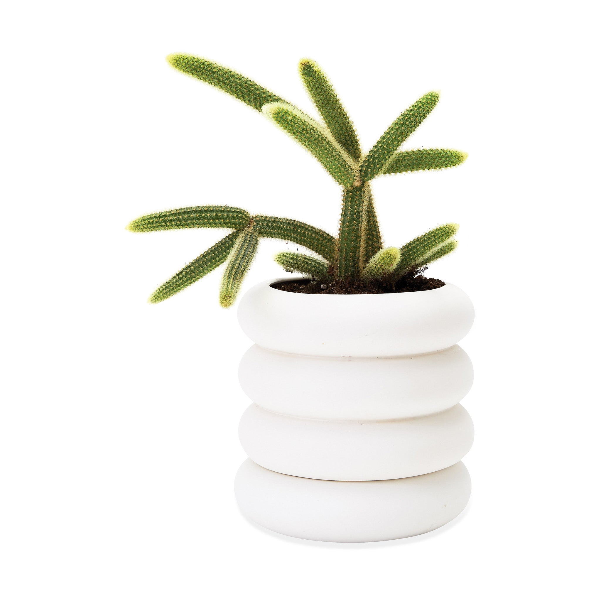 Areaware Mini Stacking Stoneware Planter with Hidden Saucer