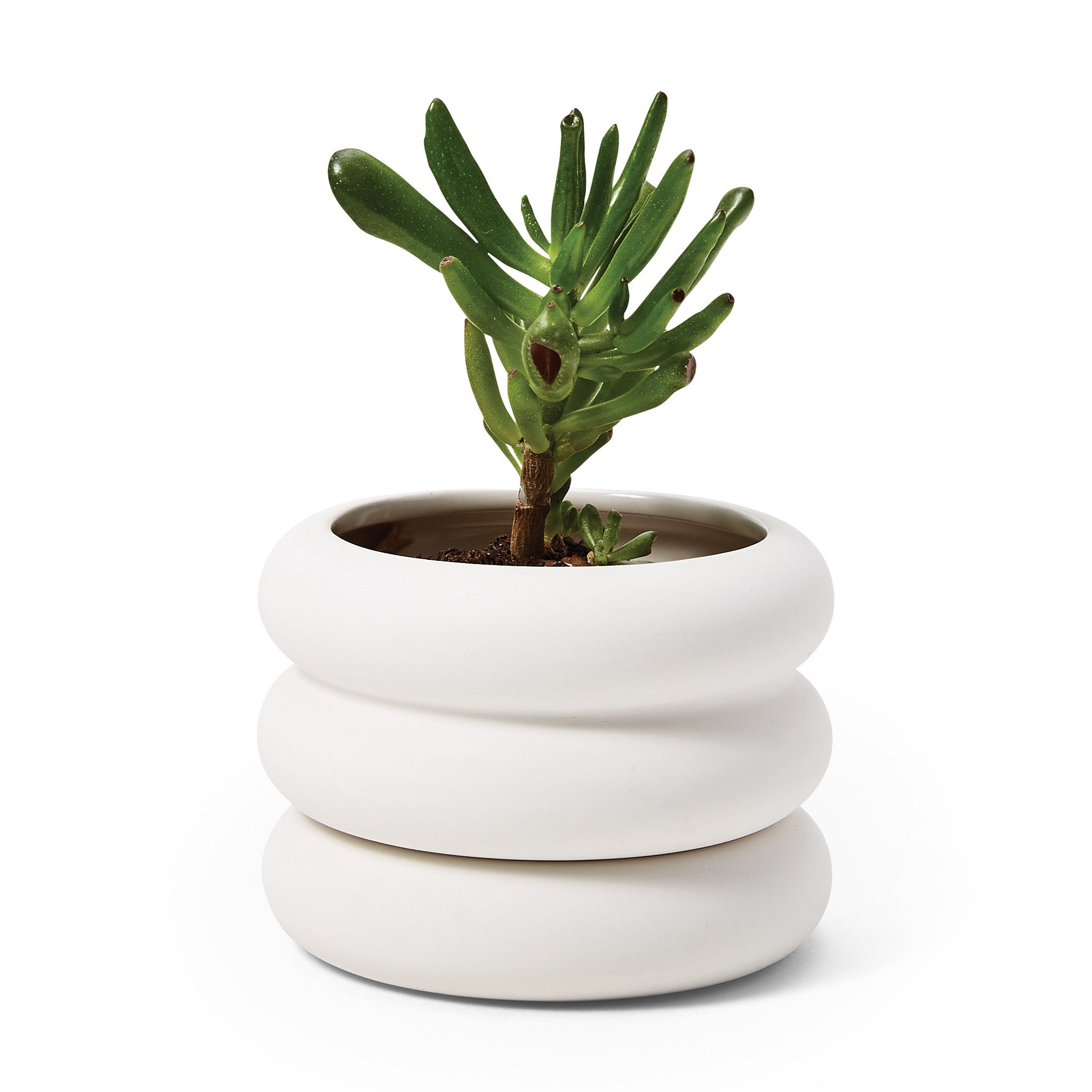 Areaware Mini Stacking Stoneware Planter with Hidden Saucer