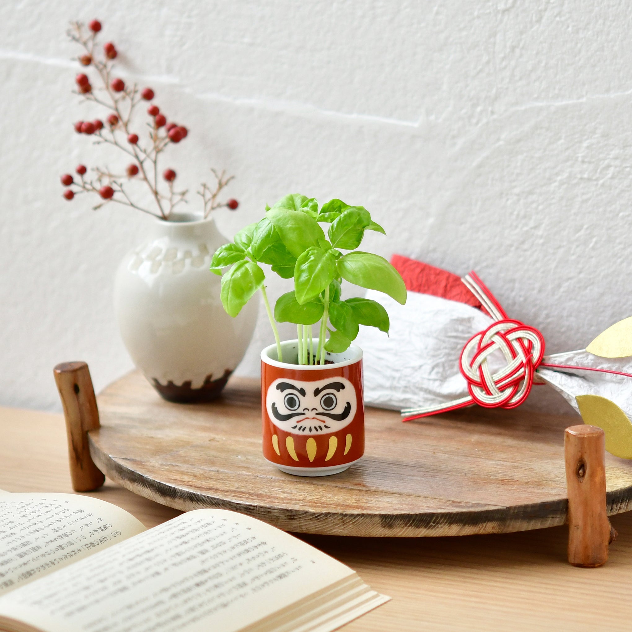 Lucky Daruma Mini Ceramic Planter Kit with Basil Seeds