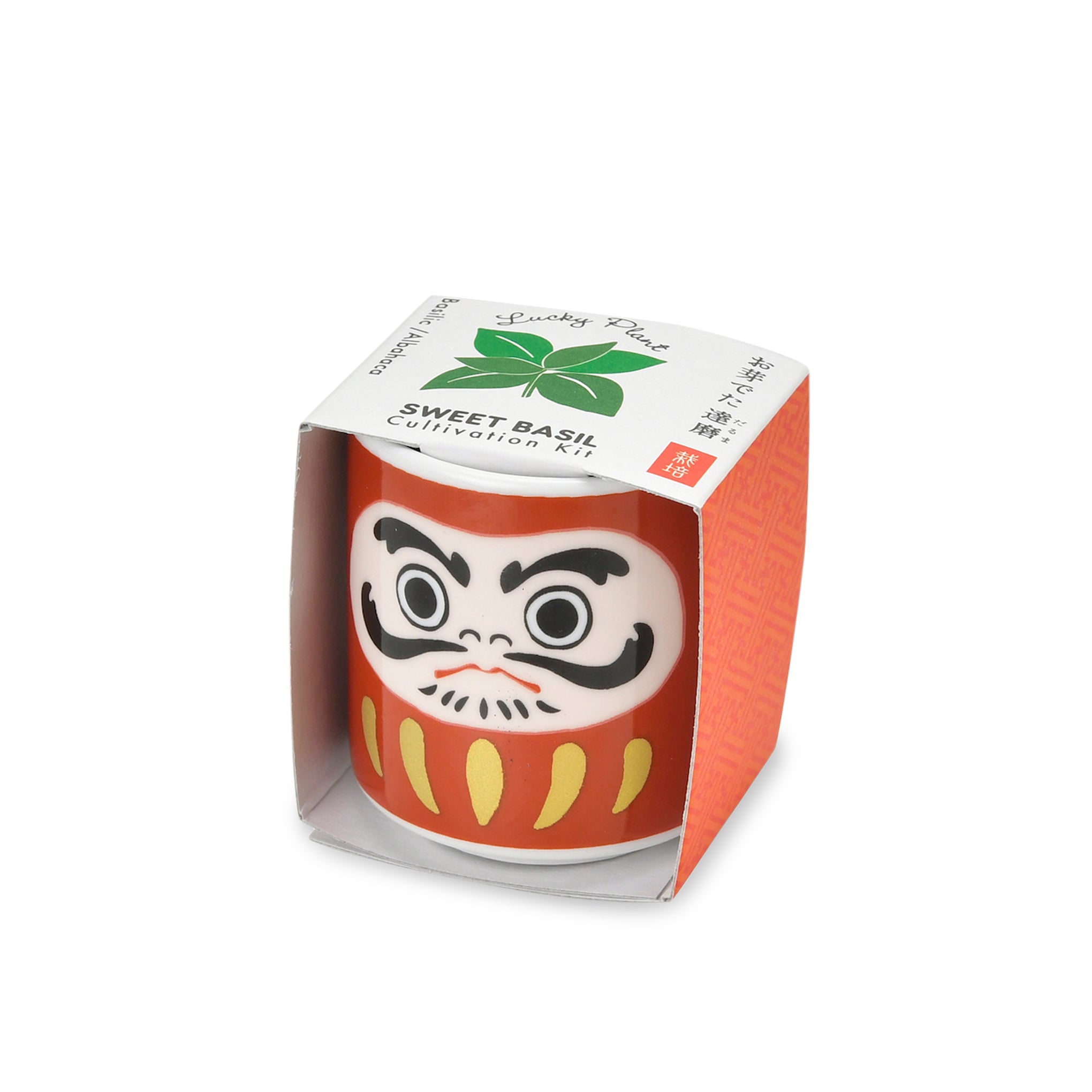 Lucky Daruma Mini Ceramic Planter Kit with Basil Seeds