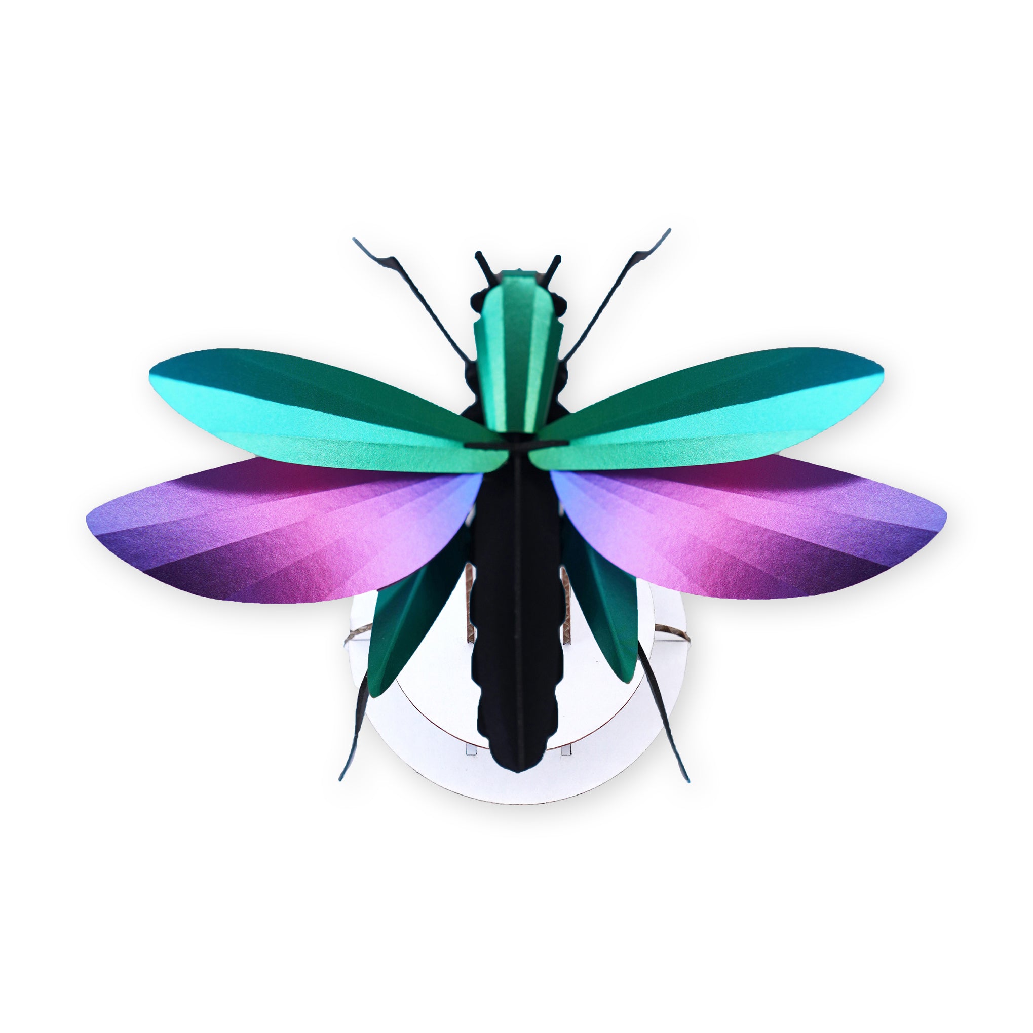 Assembli DIY Reflective Paper Grasshopper Kit - No Tools Needed