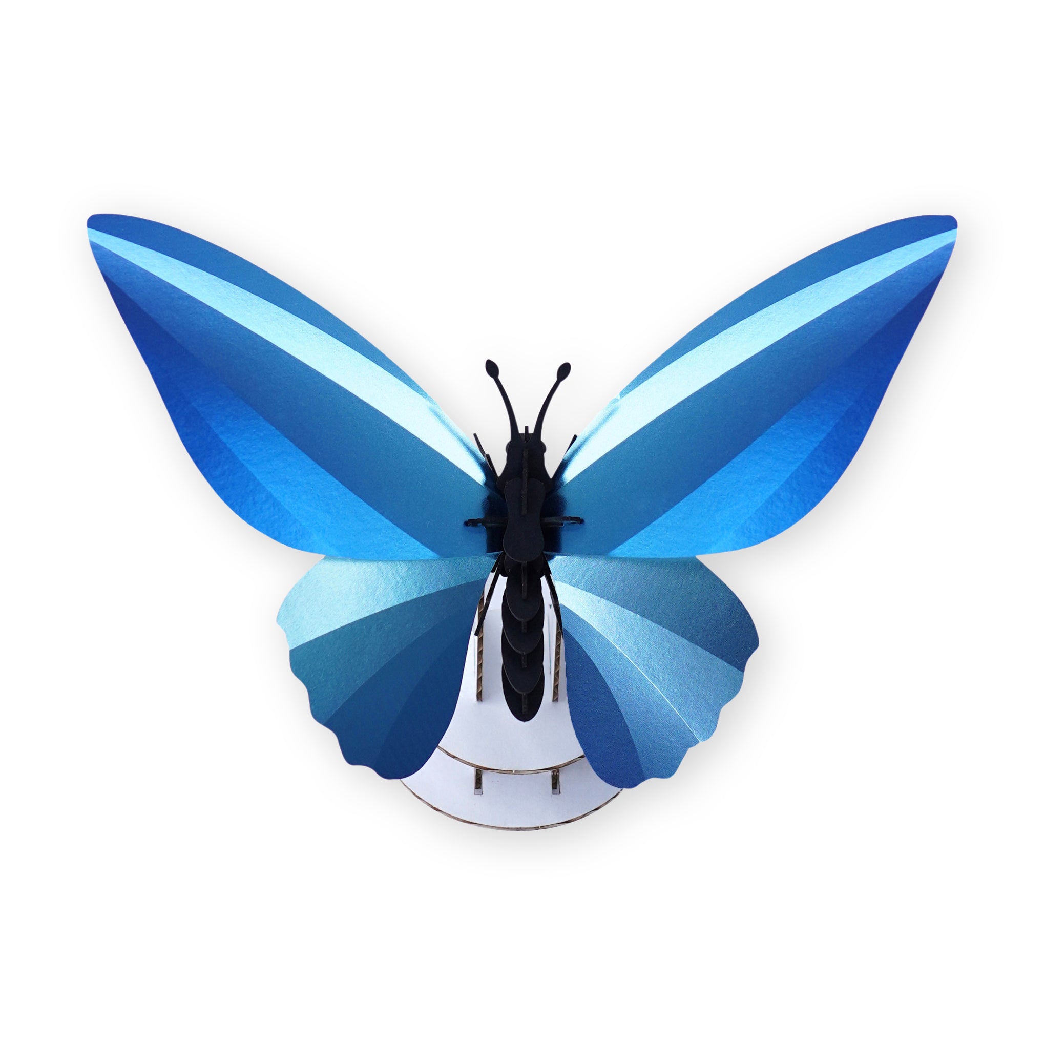 Assembli DIY Butterfly Reflective Paper Craft Kit – No Tools Needed