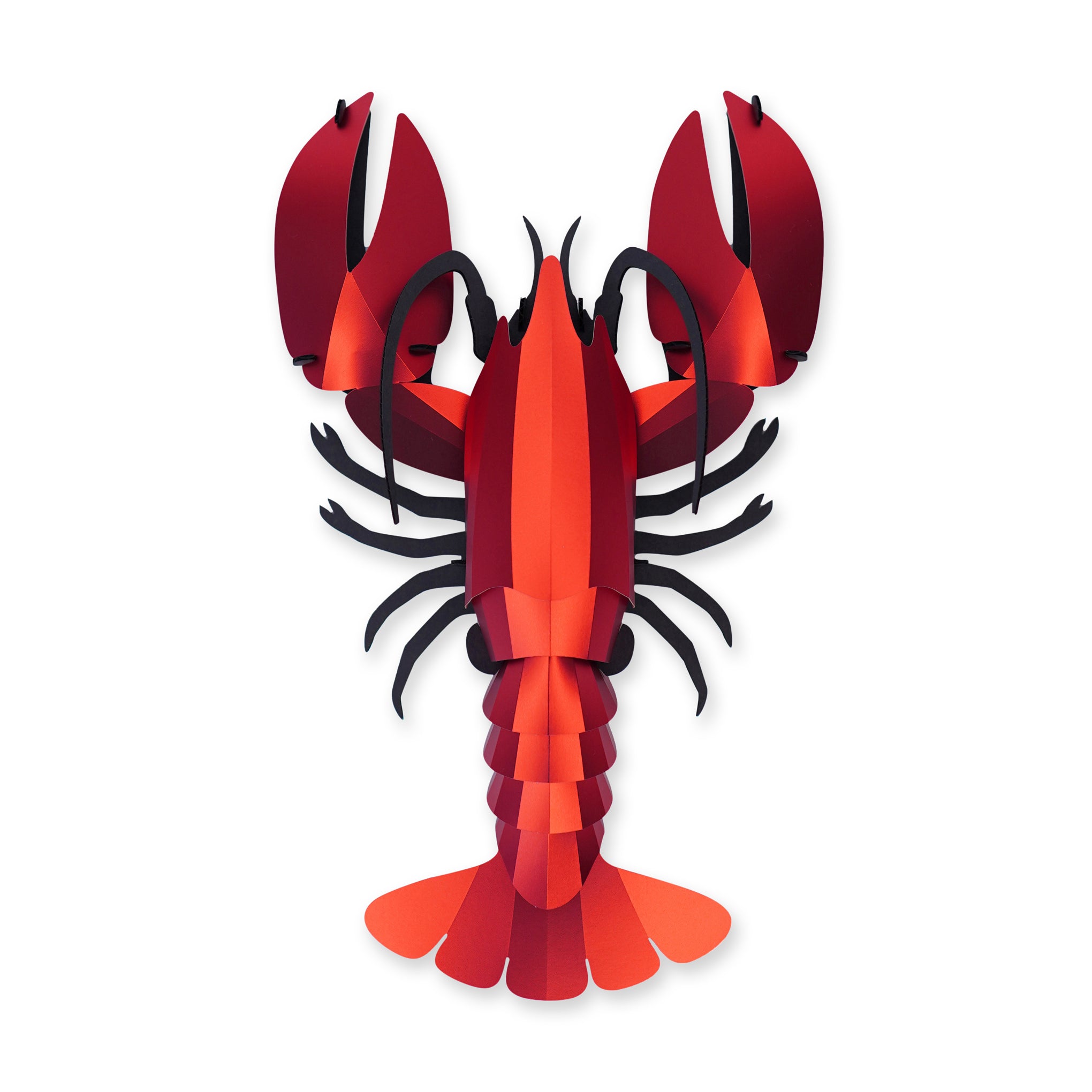 Assembli DIY Reflective Paper Lobster Kit - No Tools Needed