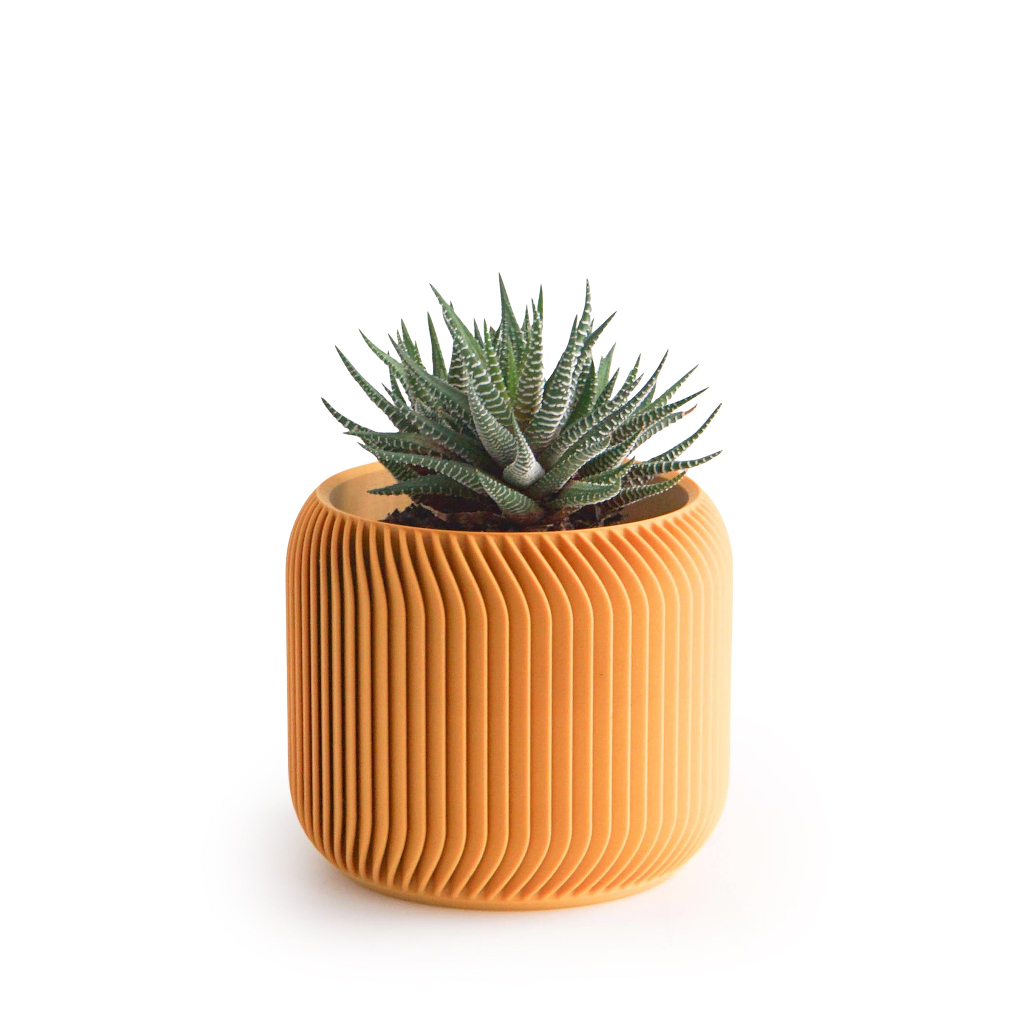 Eco-Friendly 3D-Printed Planter with Hidden Reservoir - 3"