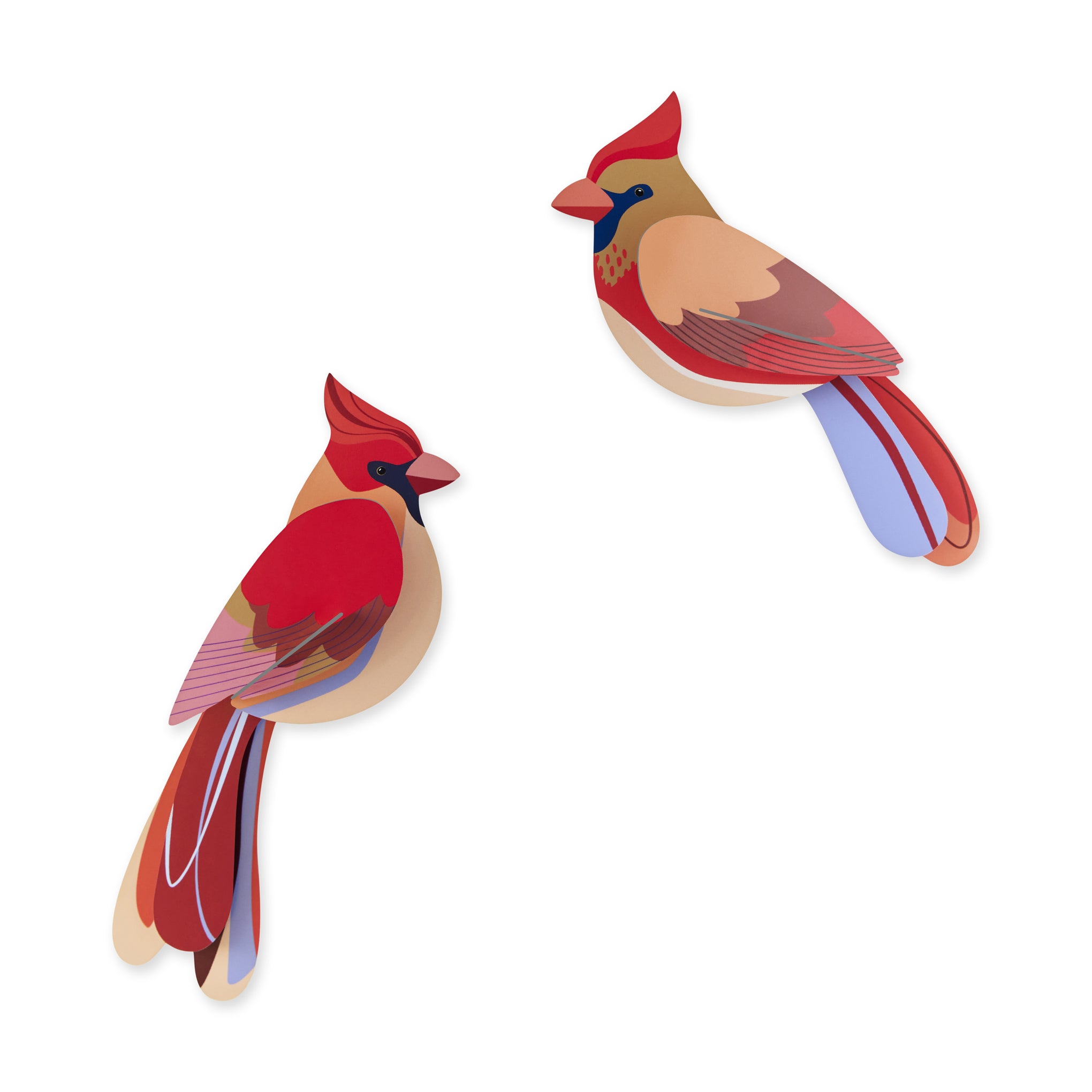 Cardinal DIY Wall Art Kit - Recycled Cardboard Bird Decor