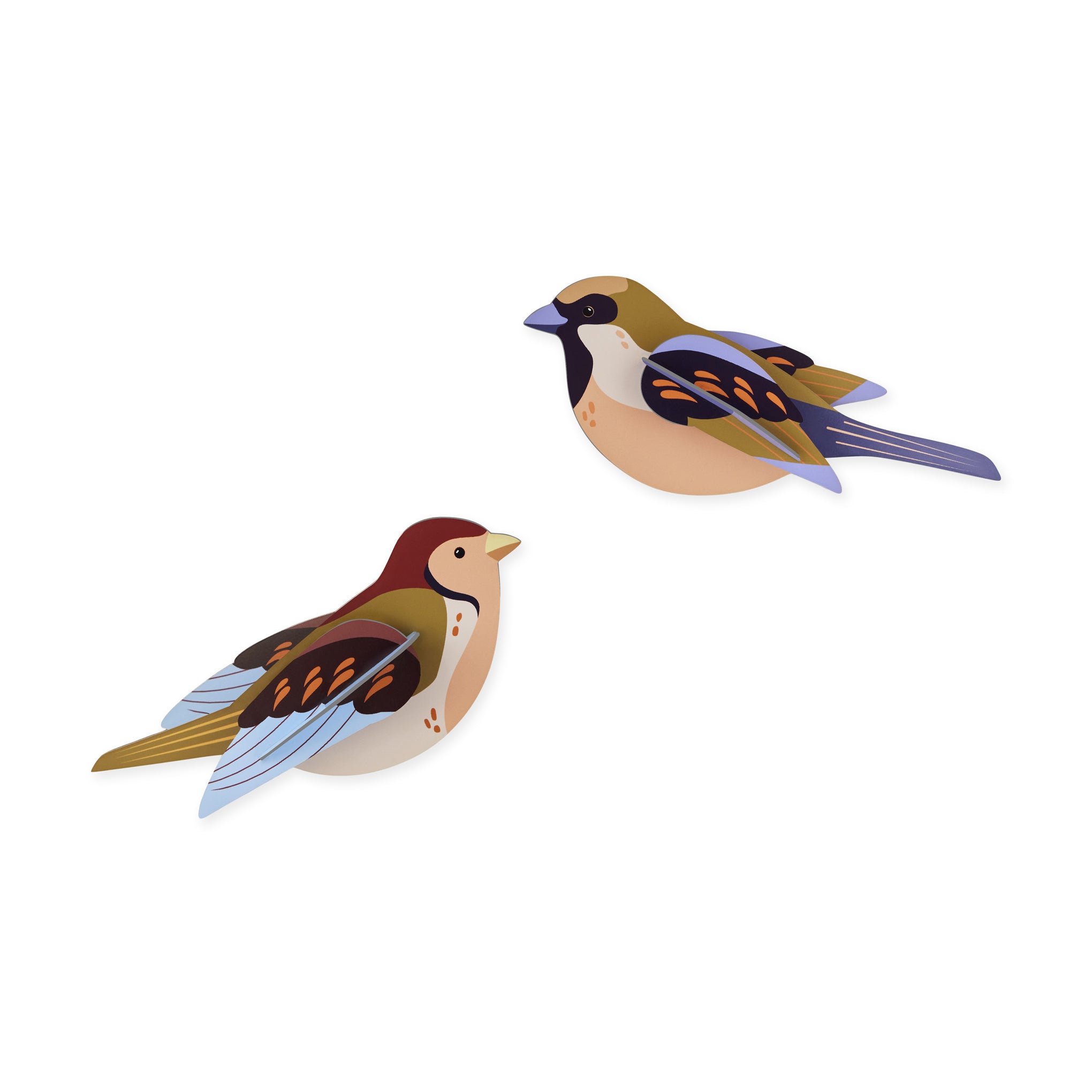DIY Sparrow Wall Art Kit - Recycled Cardboard Bird Decor