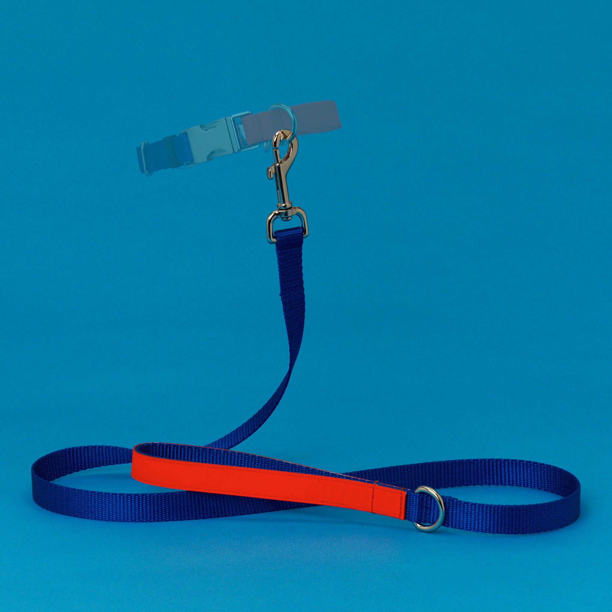 Ware of the Dog Blue & Orange Nylon Dog Collar - Large