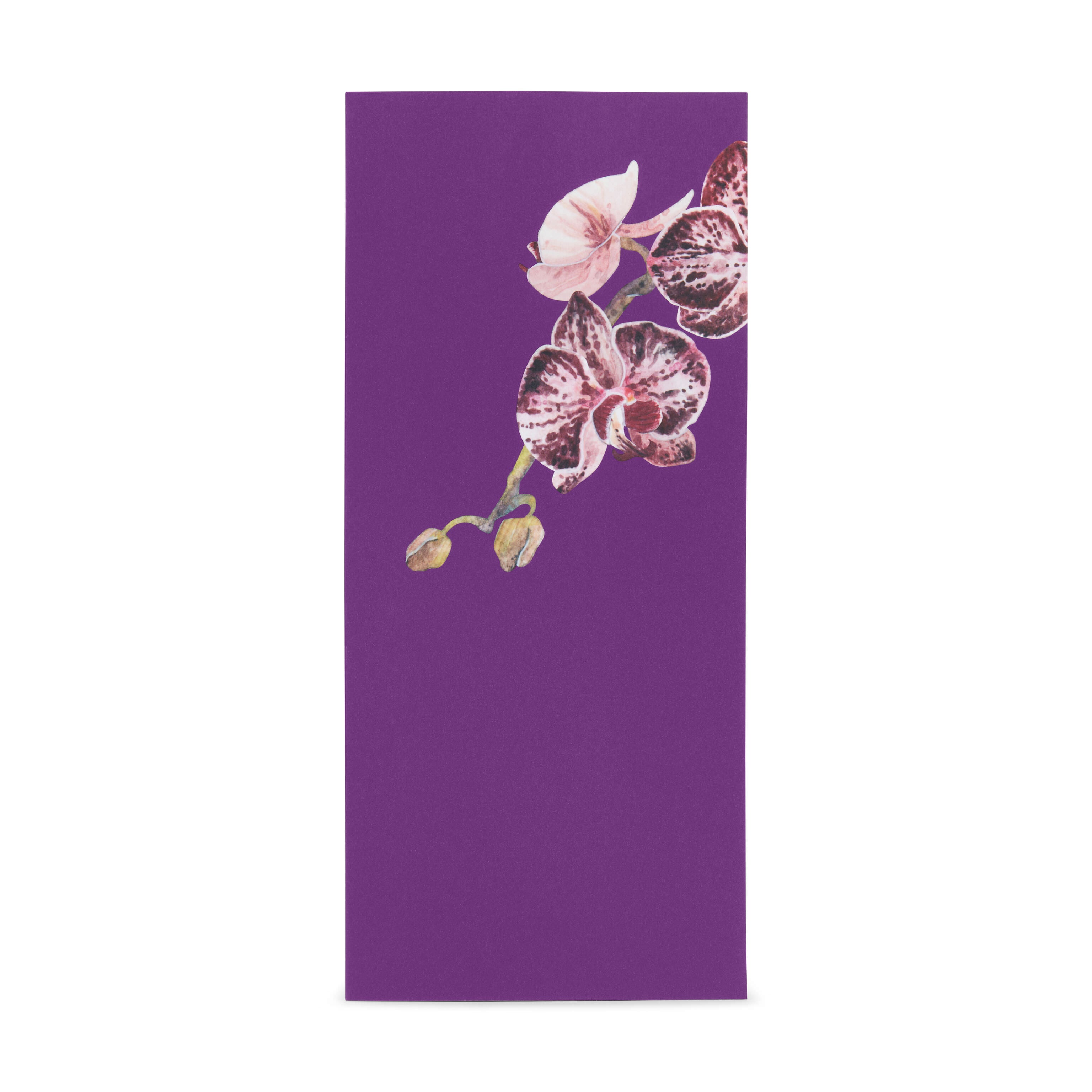 MoMA Holiday Pop-Up Greeting Cards - Set of 8 with Orchid Design