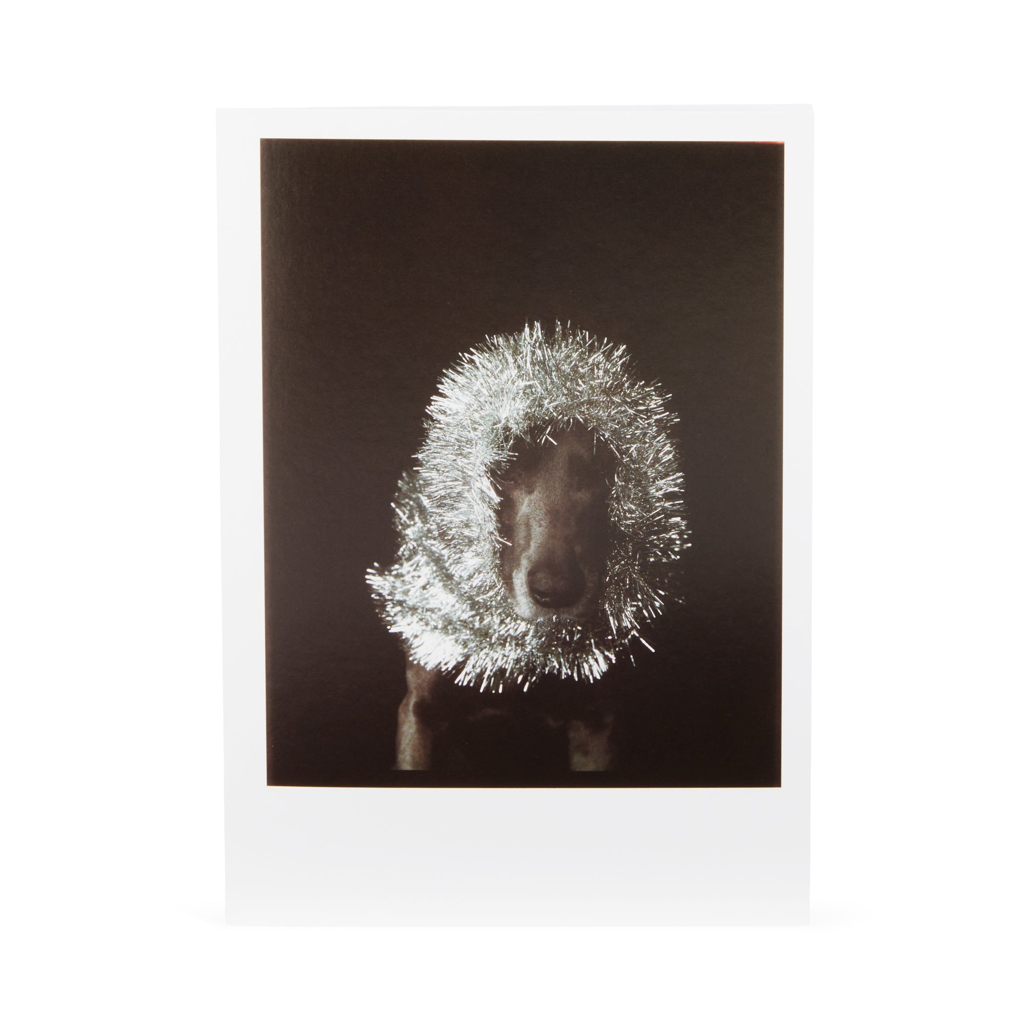 William Wegman Holiday Cards - Set of 12 with Man Ray Art