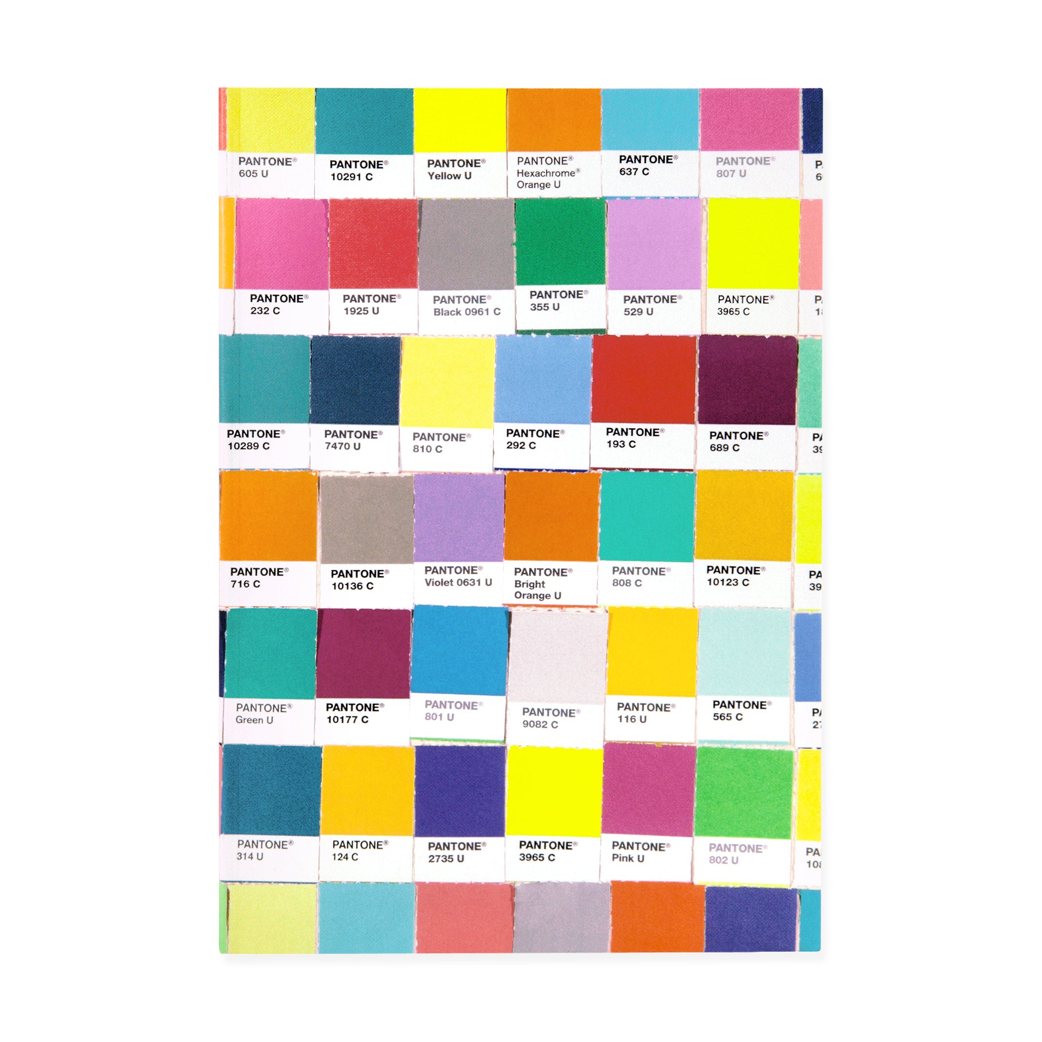 Pantone Color Chips Blank Journal for Sketching & Notes