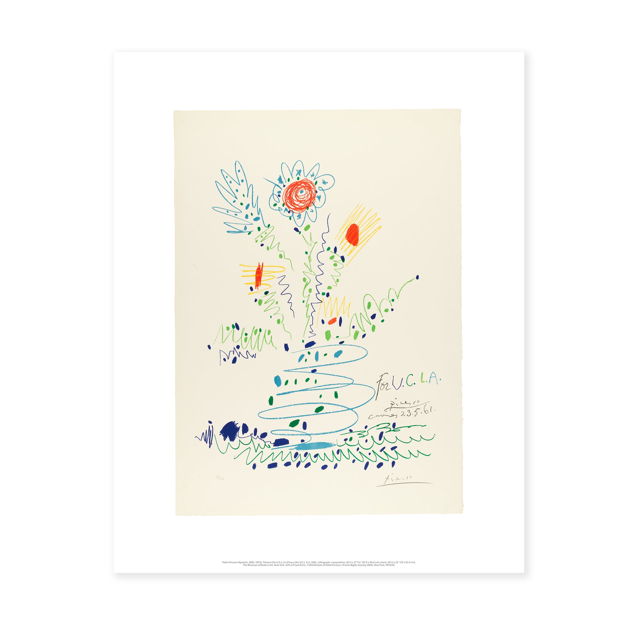 Picasso Flowers Print - High-Quality Art Reproduction for U.C.L.A.